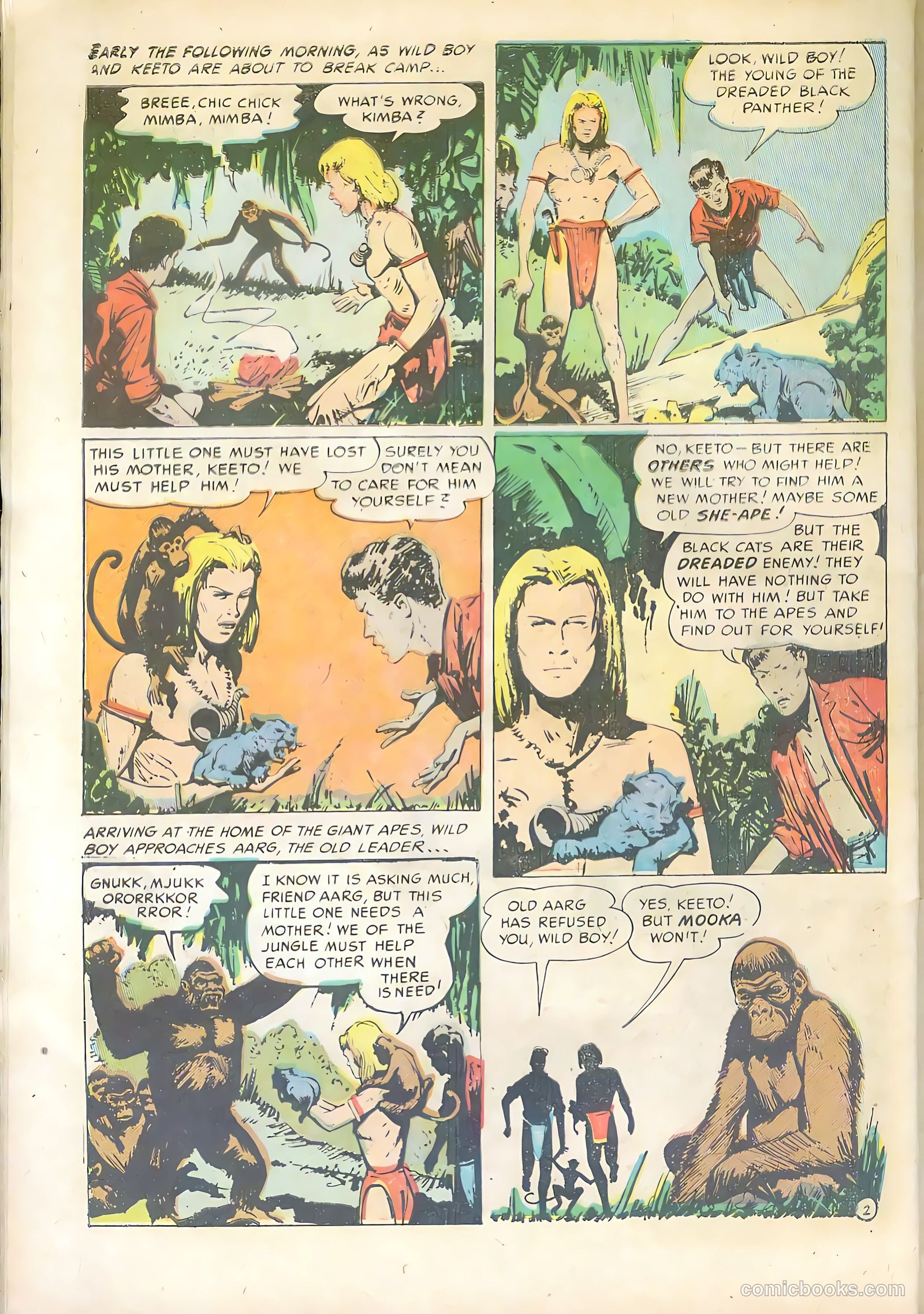 Wild Boy #5 — page 28 of 36