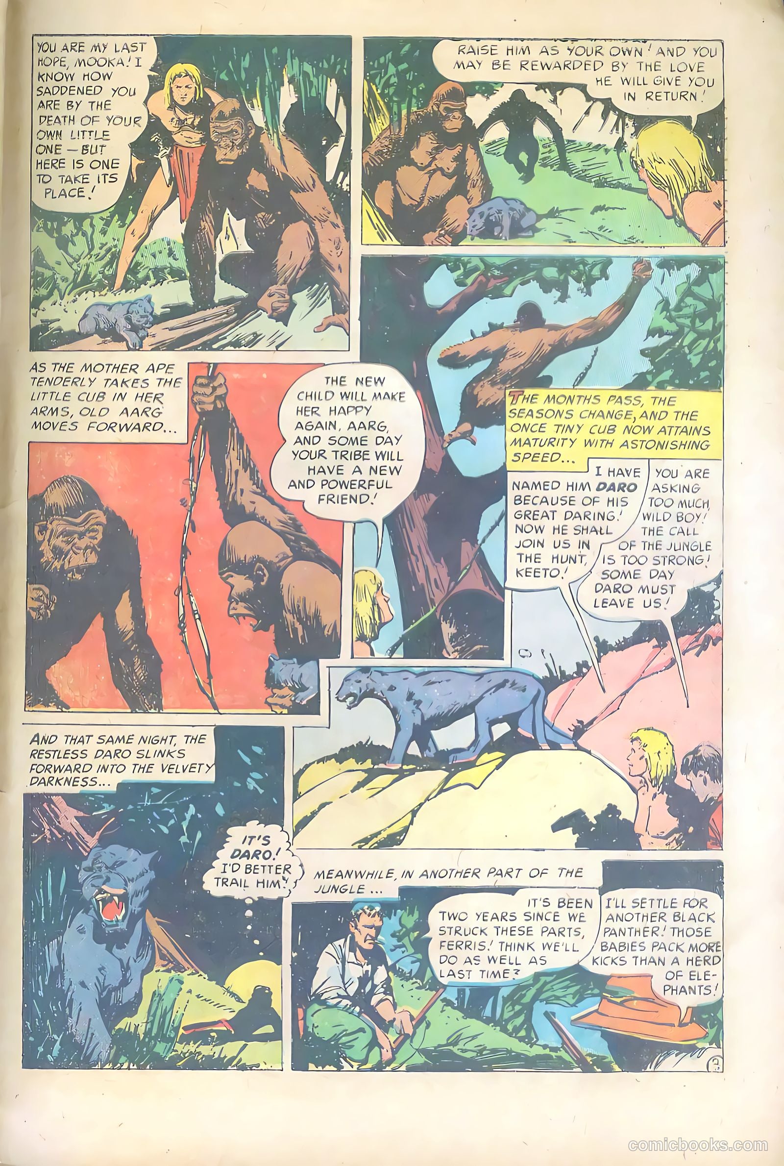 Wild Boy #5 — page 29 of 36