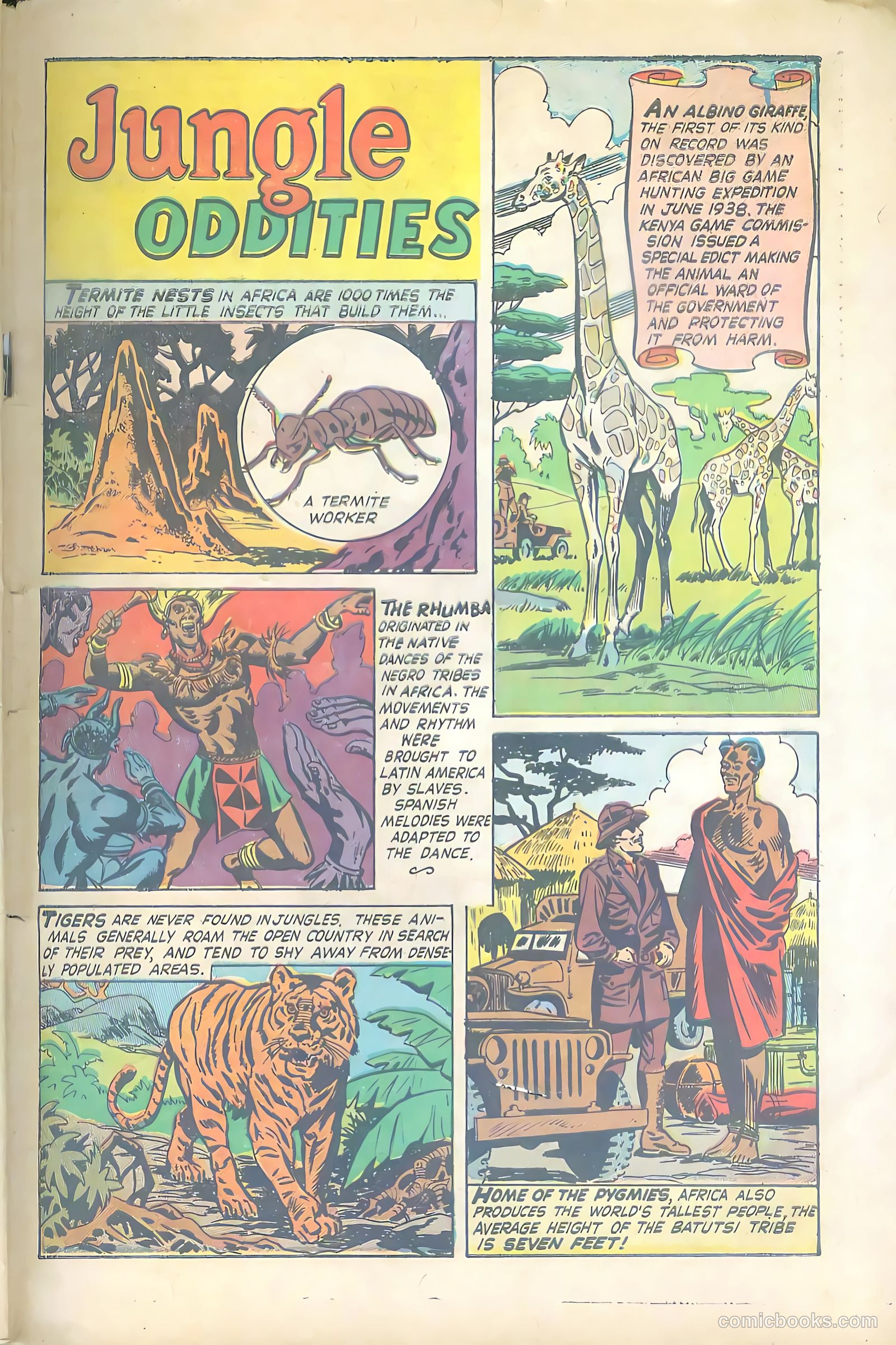 Wild Boy #5 — page 33 of 36