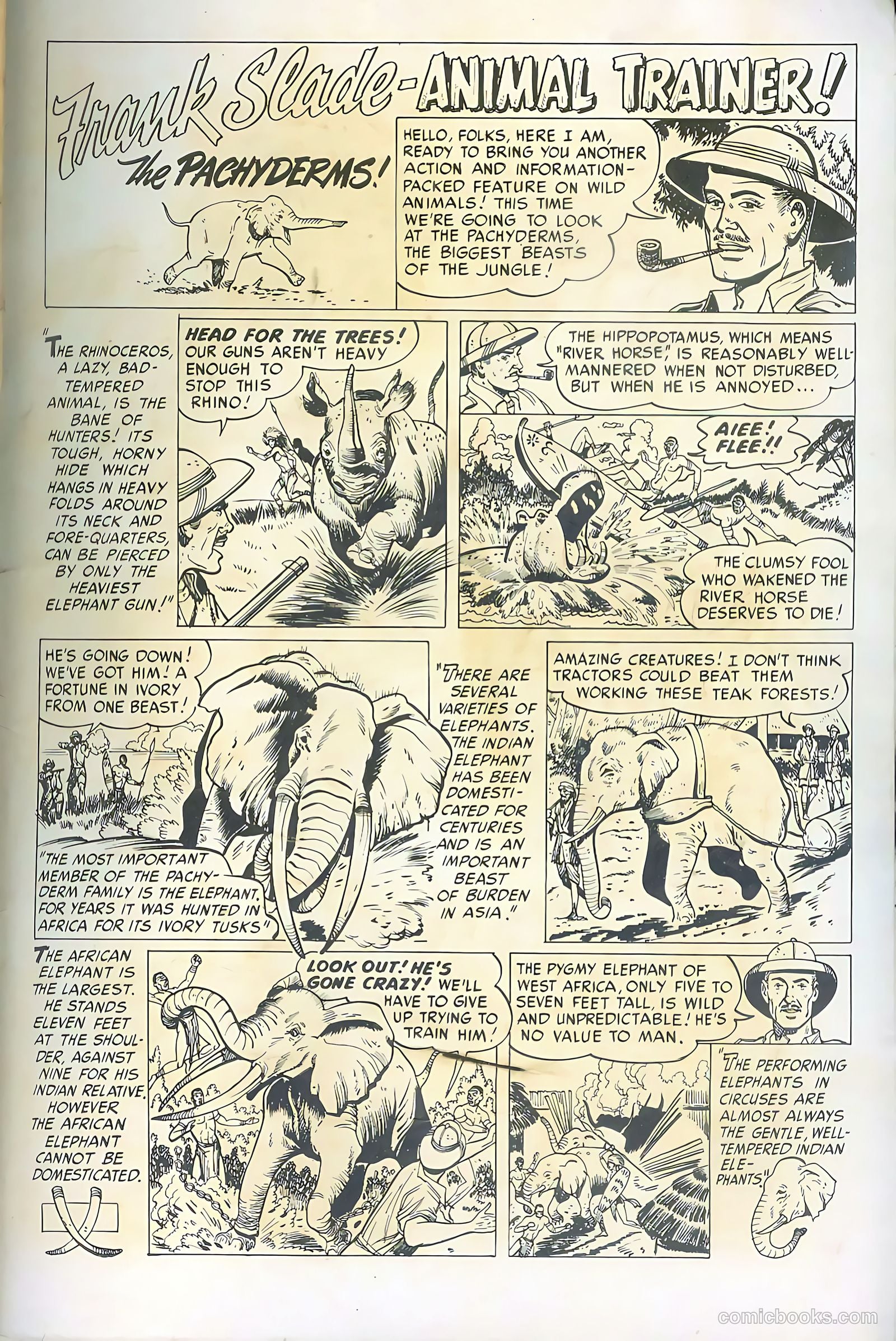 Wild Boy #5 — page 35 of 36