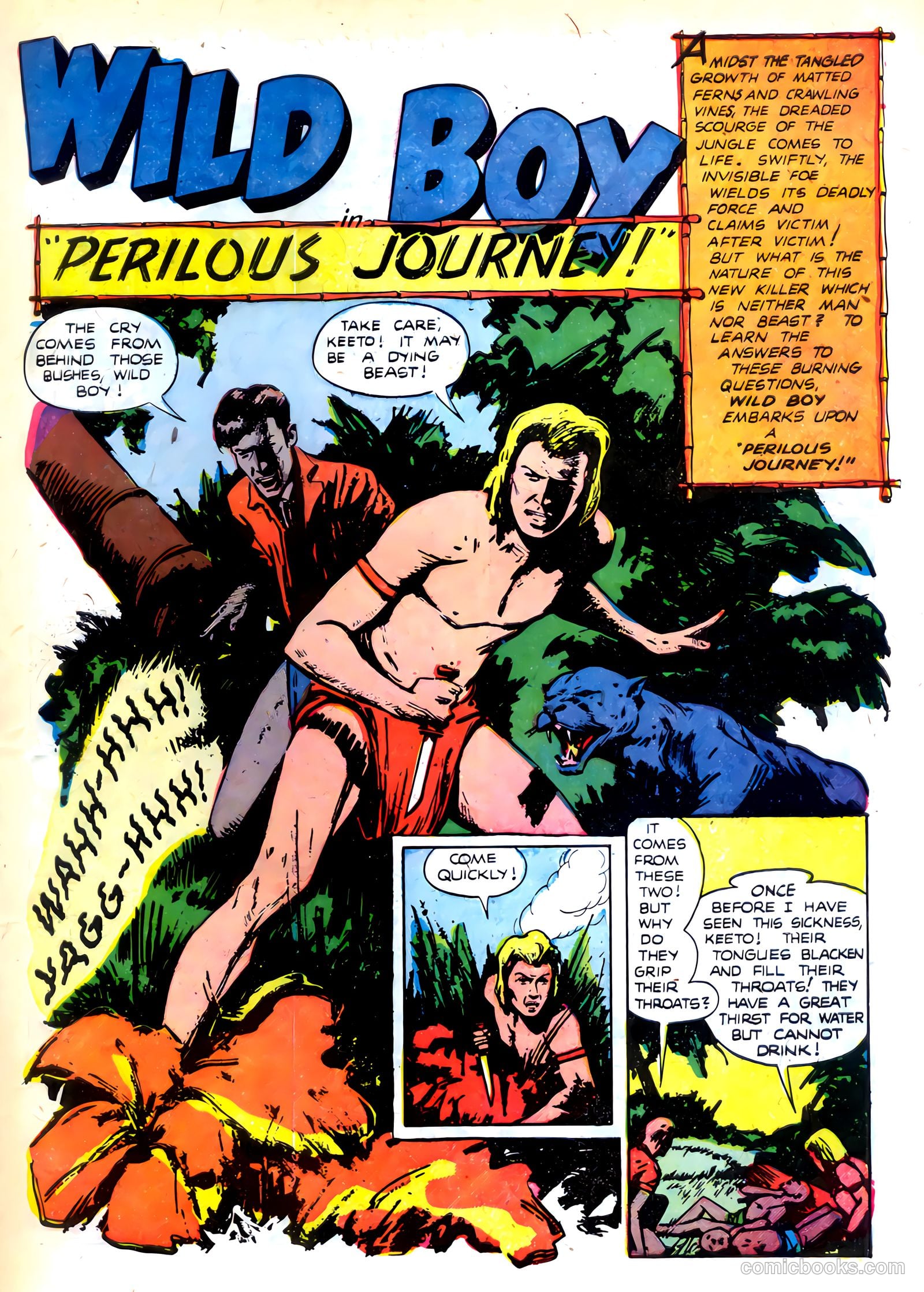Wild Boy #6 — page 27 of 36
