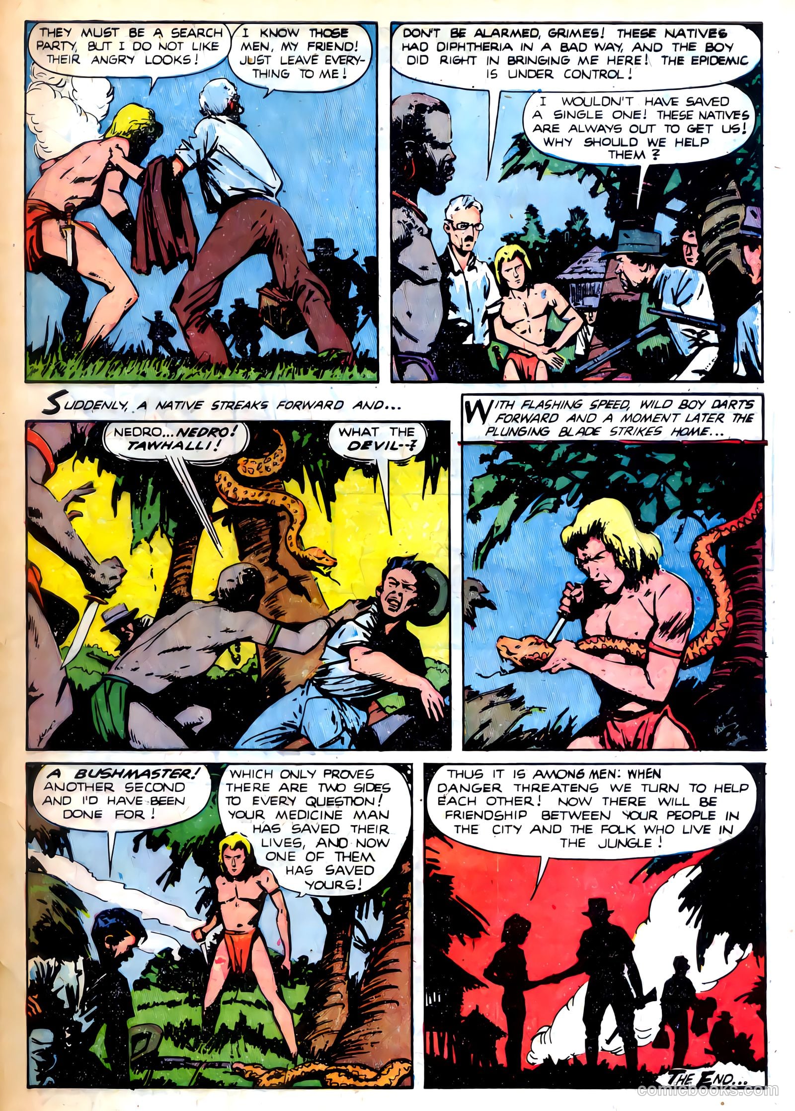 Wild Boy #6 — page 33 of 36