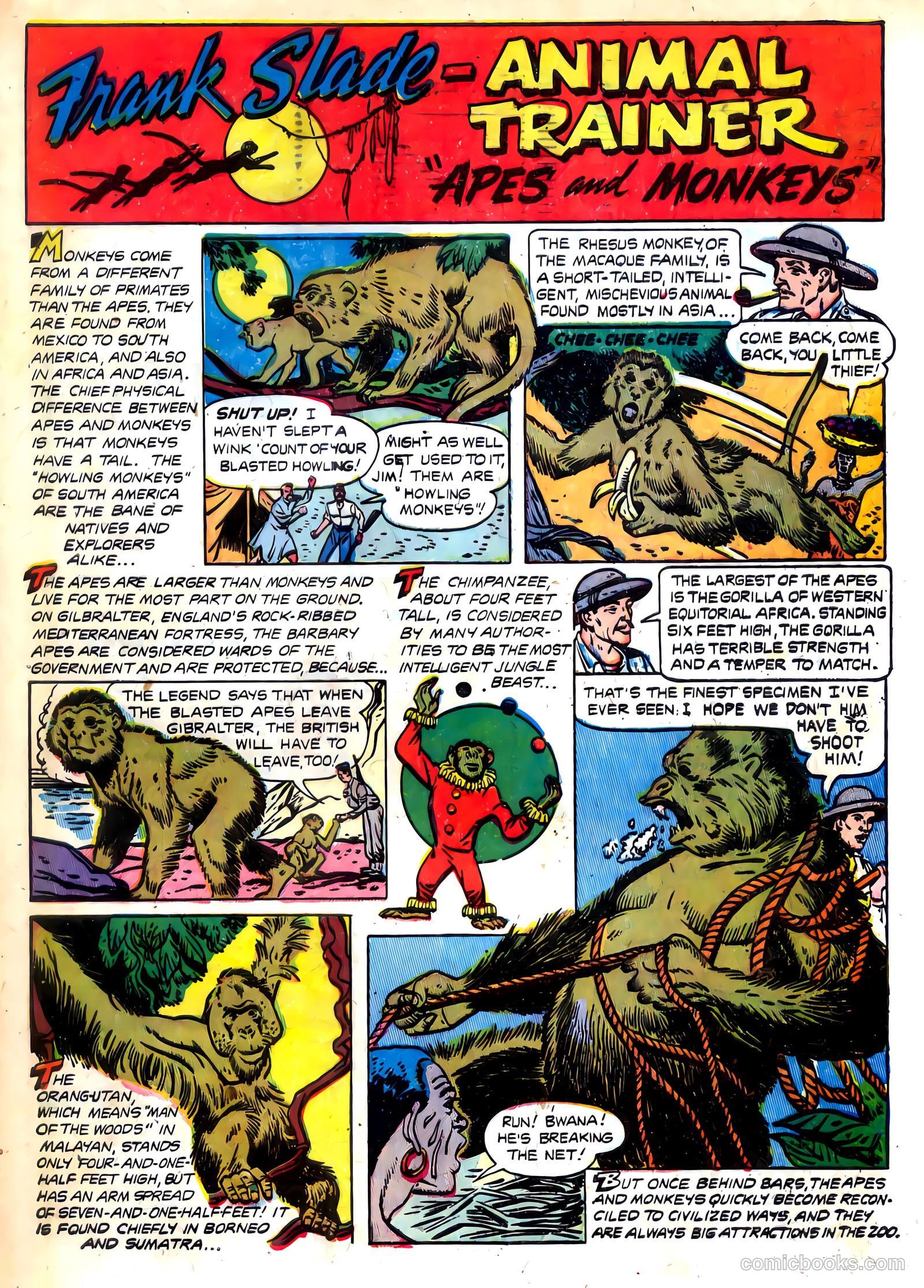 Wild Boy #7 — page 33 of 36