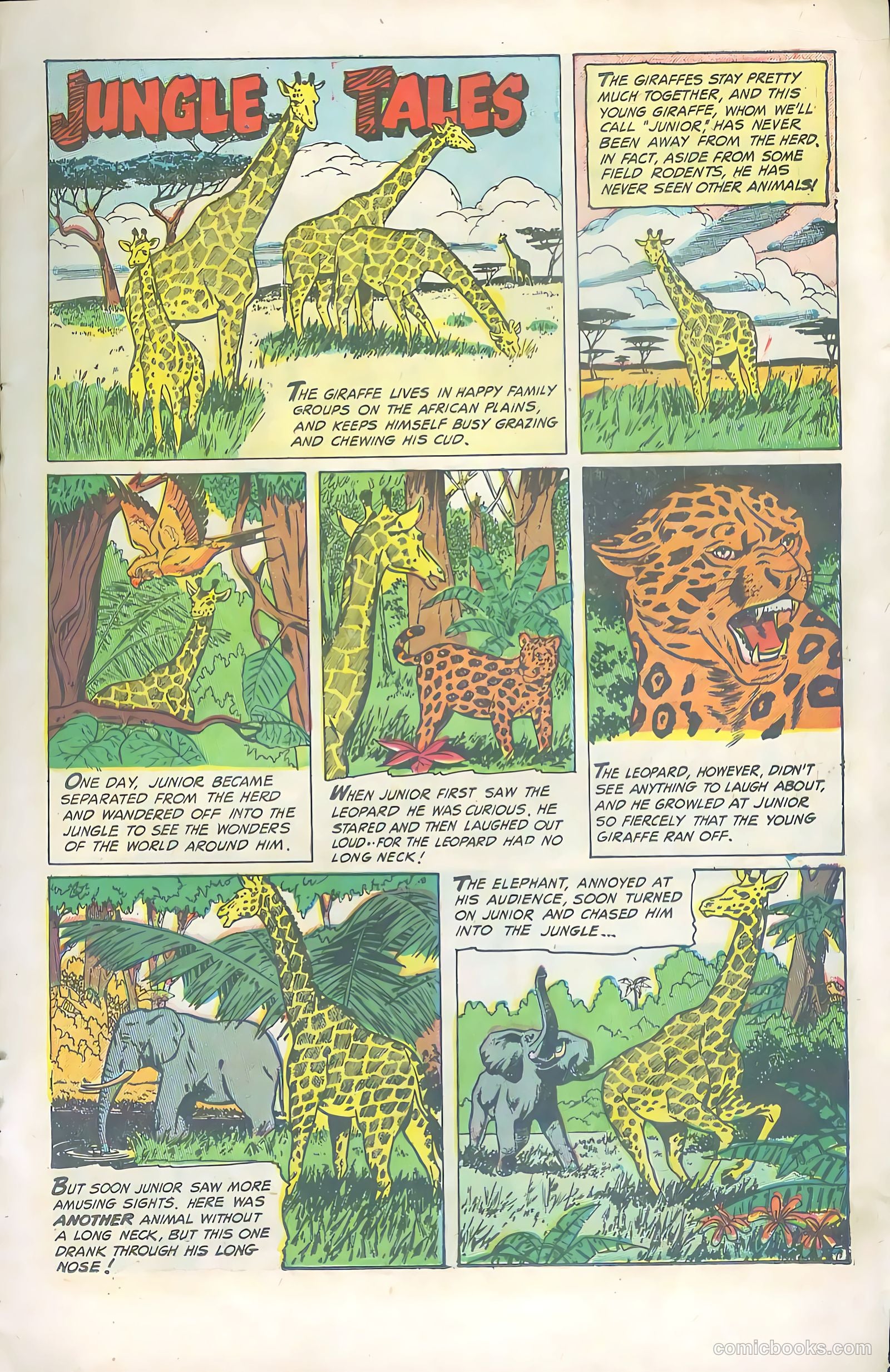 Wild Boy #8 — page 15 of 36