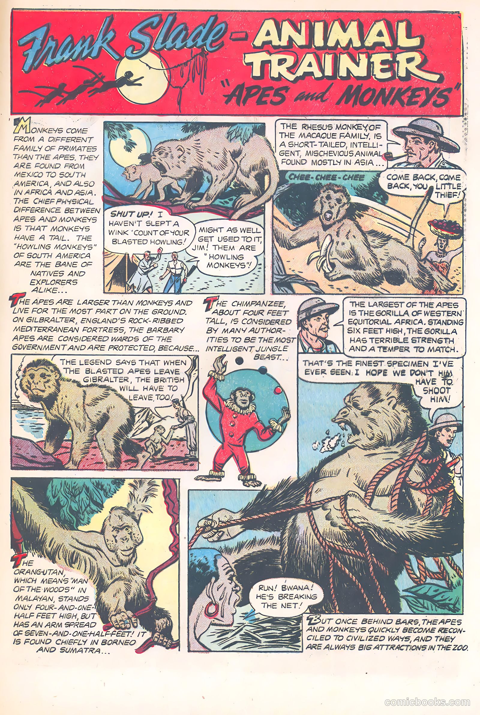 Wild Boy of the Congo #11 — page 34 of 37