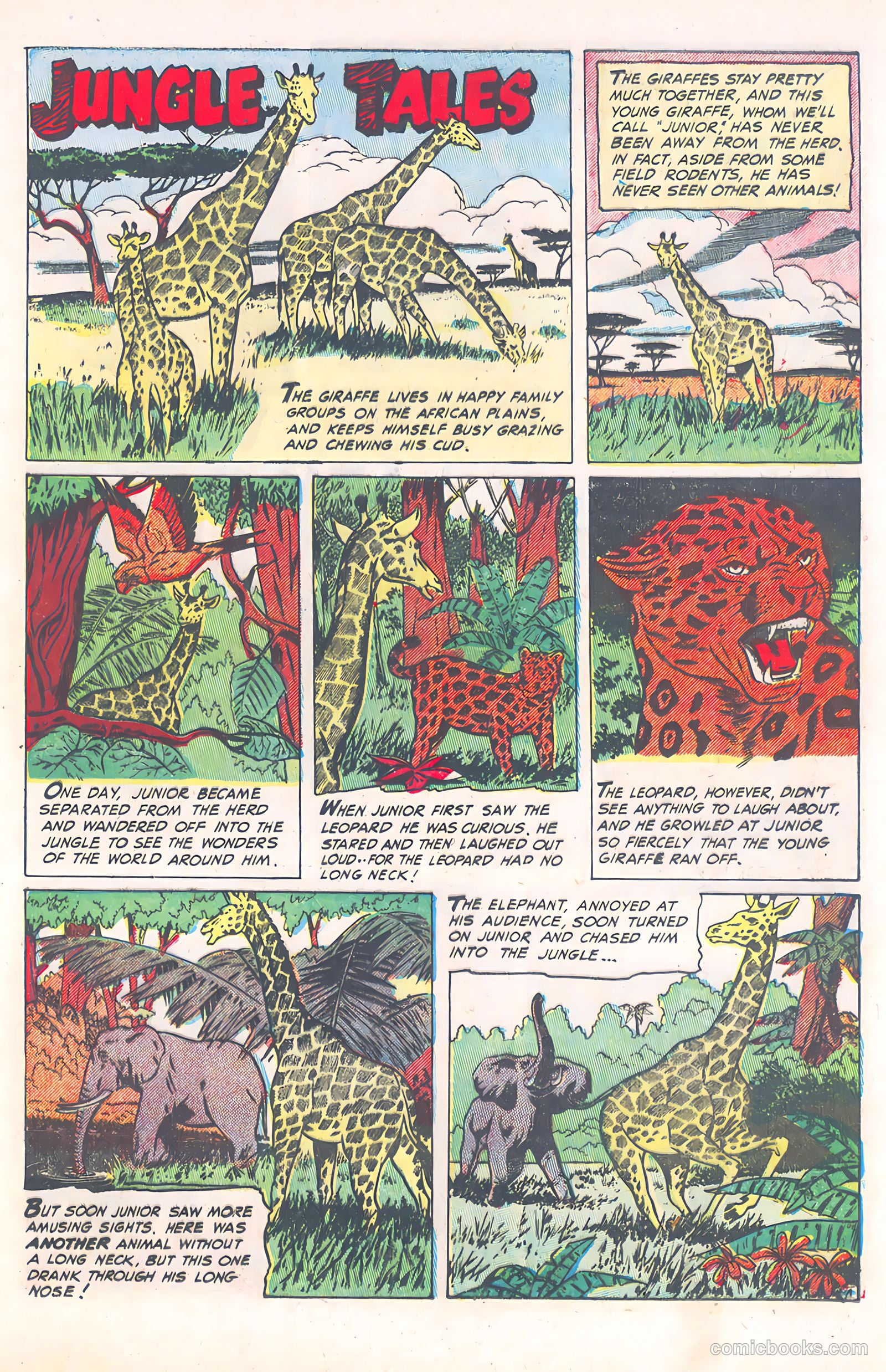 Wild Boy of the Congo #12 — page 15 of 36