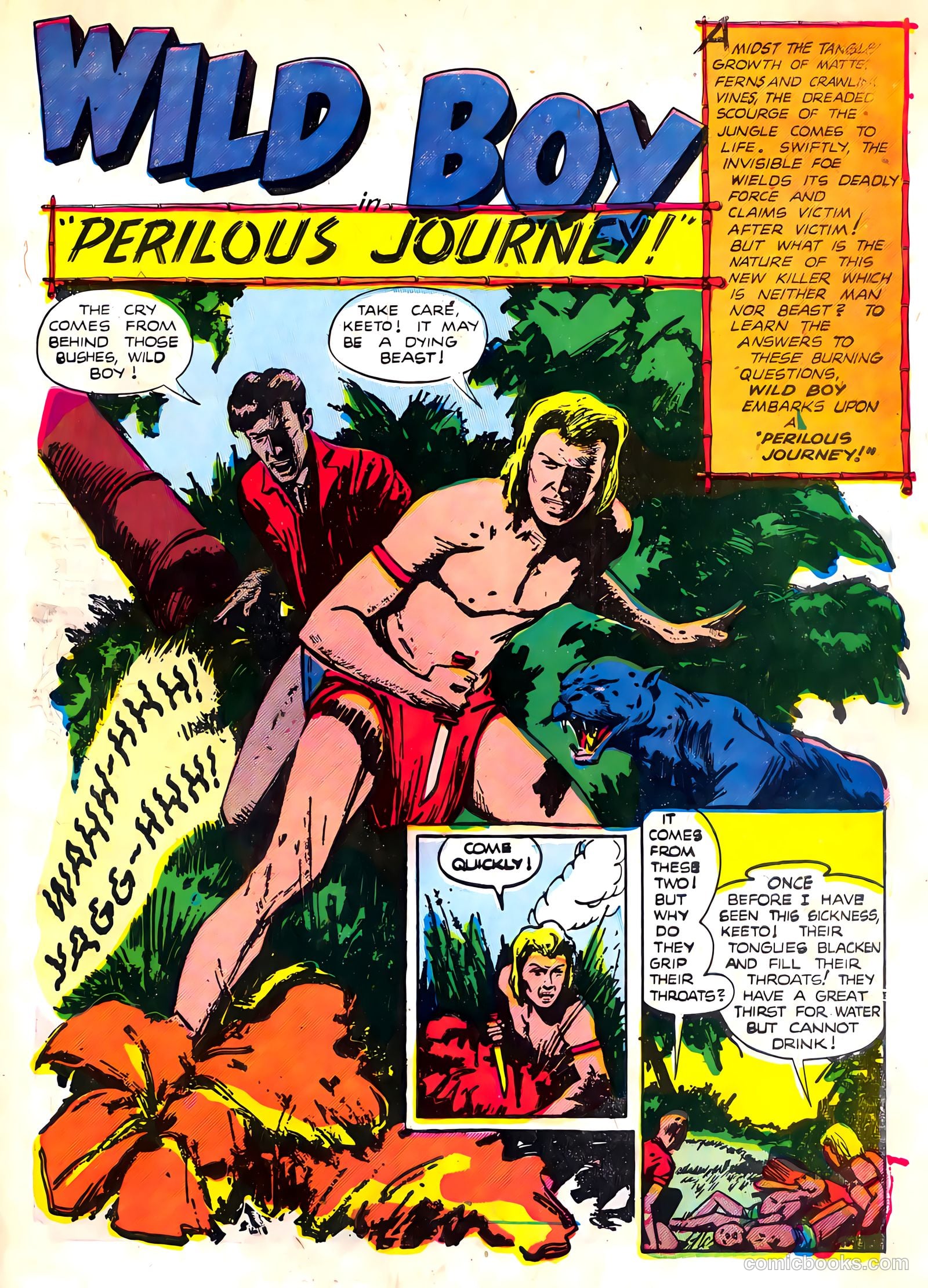 Wild Boy of the Congo #13 — page 28 of 37