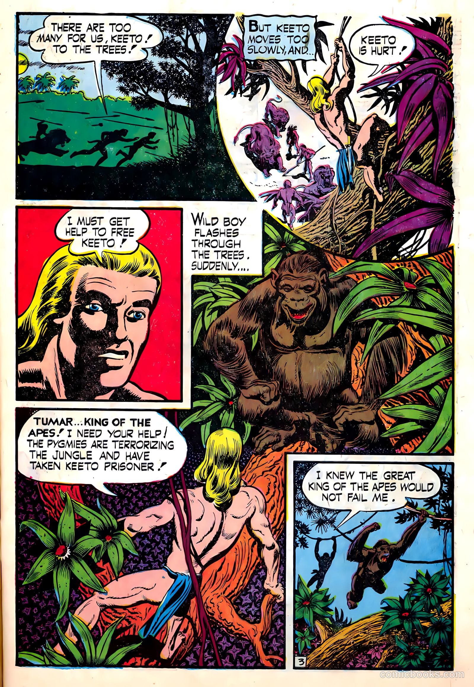 Wild Boy of the Congo #14 — page 5 of 36