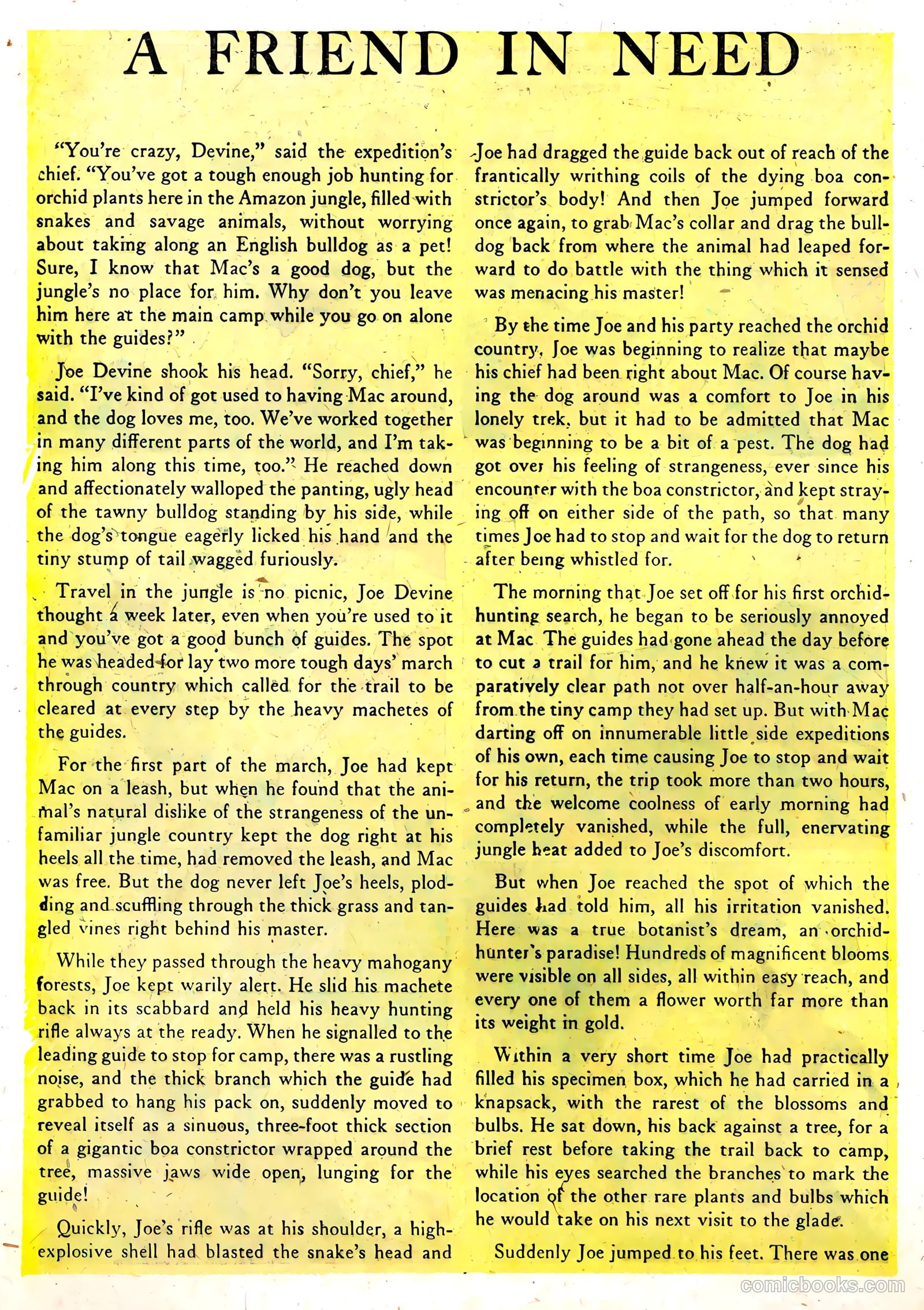 Wild Boy of the Congo #14 — page 18 of 36