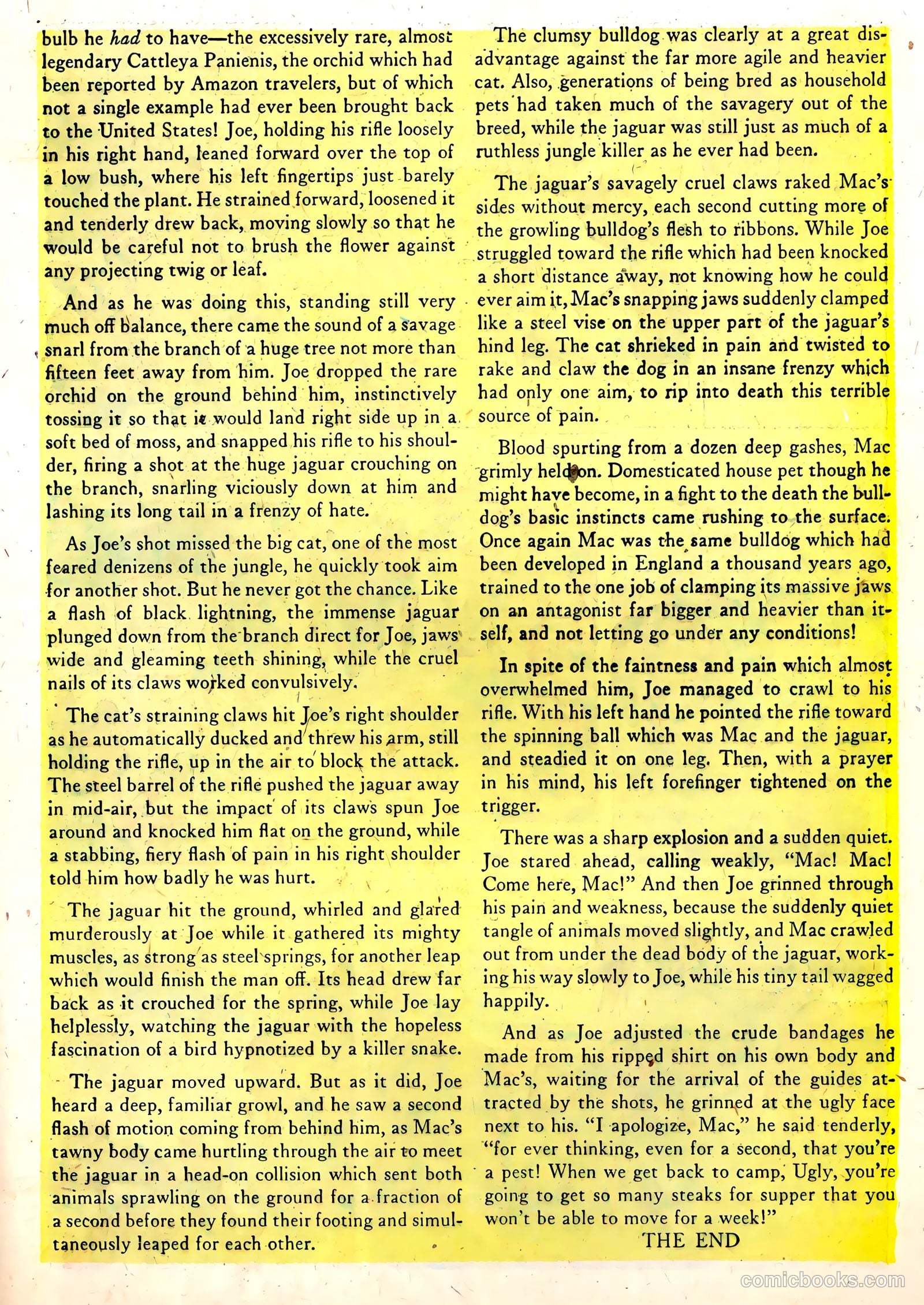 Wild Boy of the Congo #14 — page 19 of 36