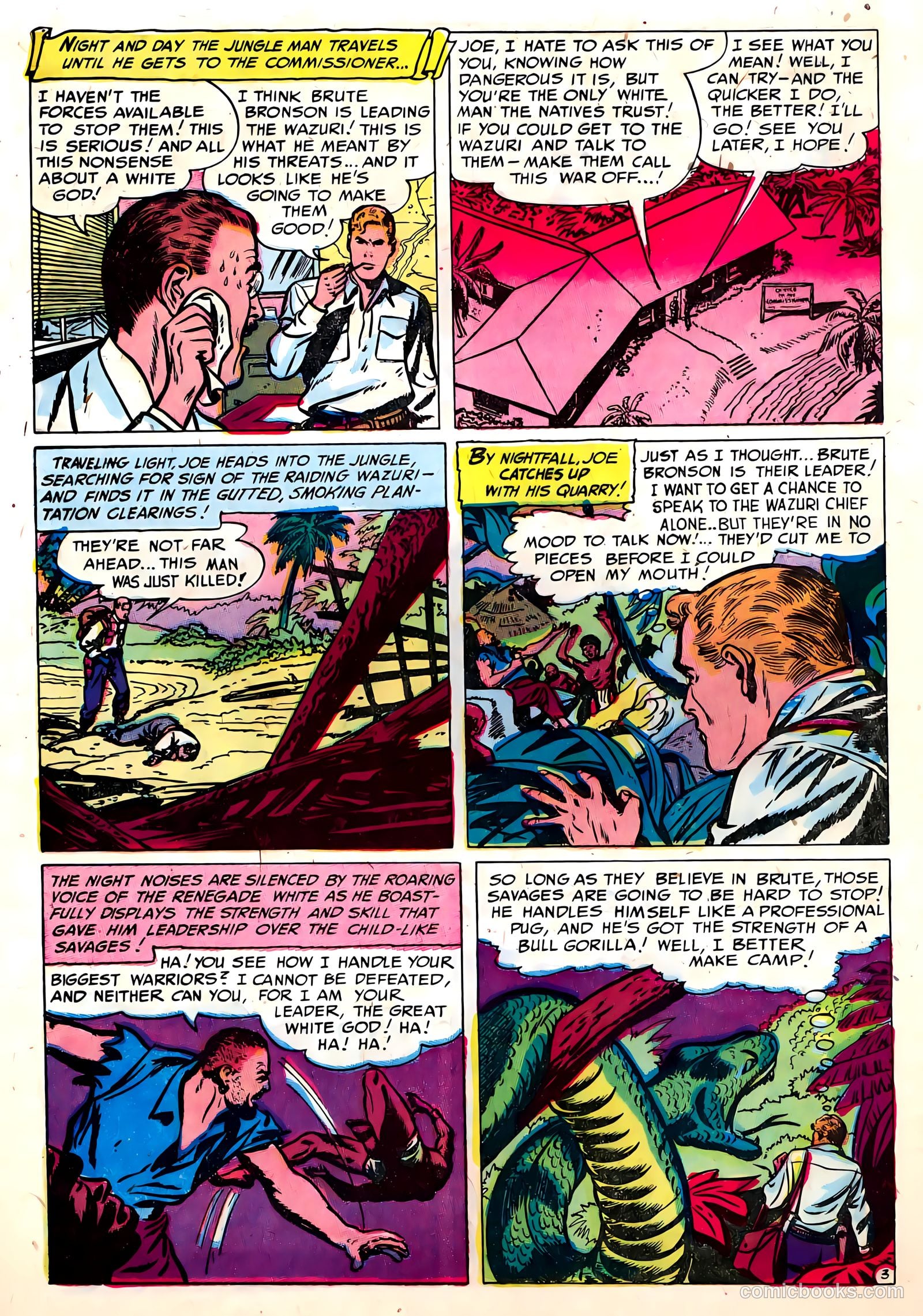 Wild Boy of the Congo #14 — page 23 of 36