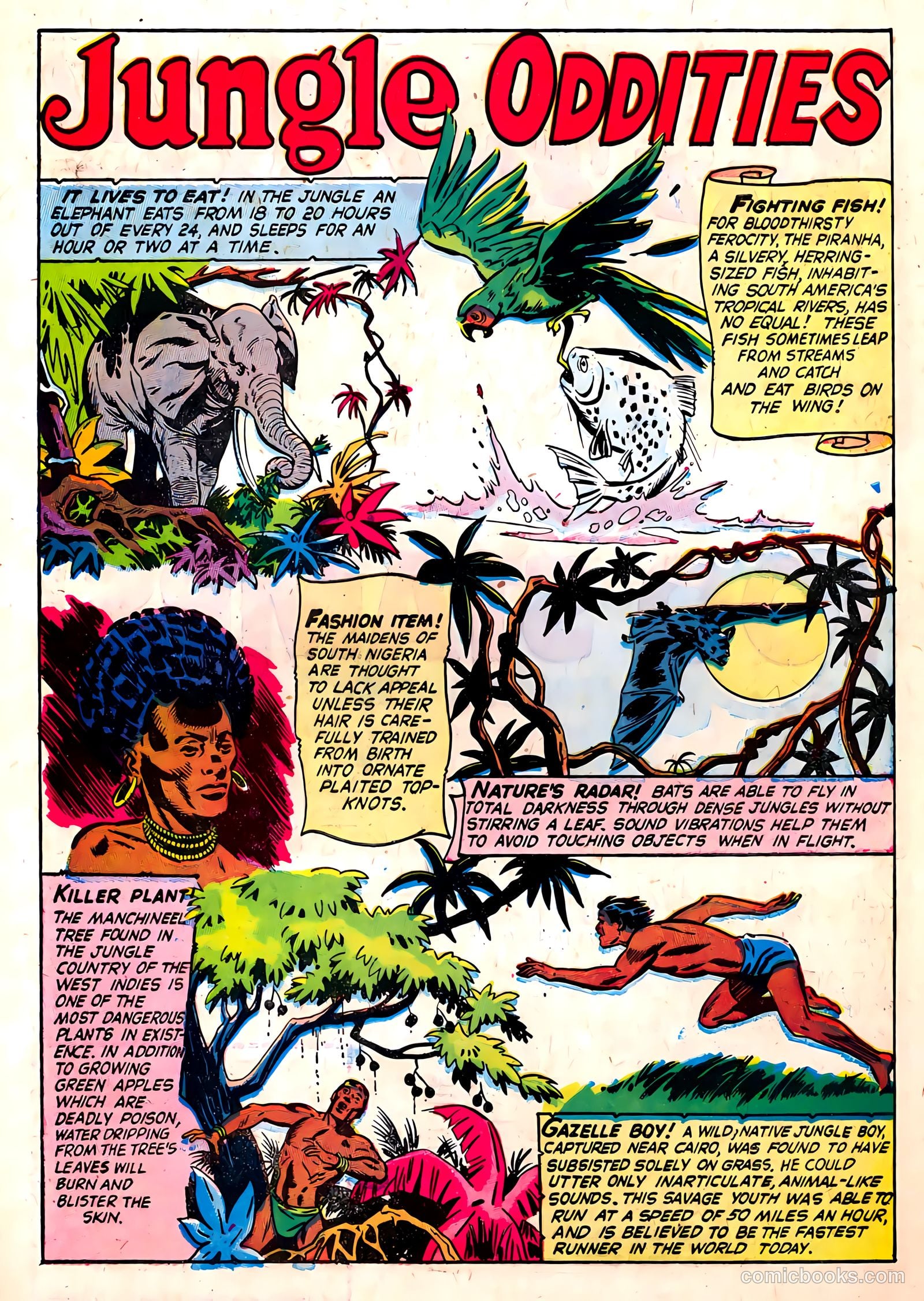 Wild Boy of the Congo #14 — page 33 of 36