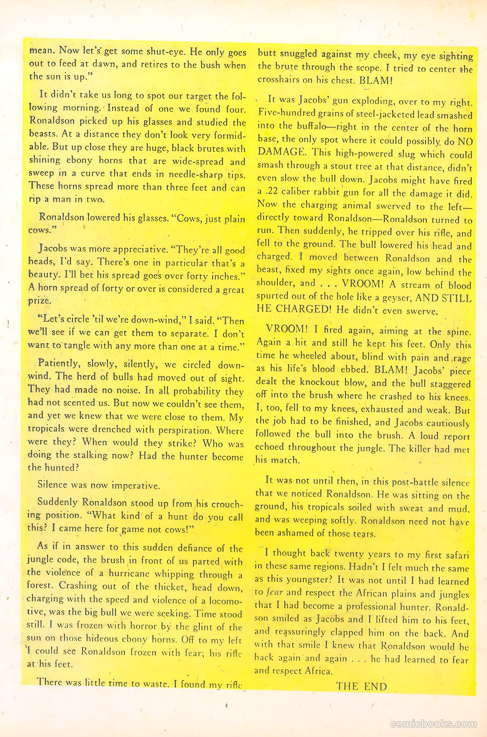 Wild Boy of the Congo #15 — page 18 of 36