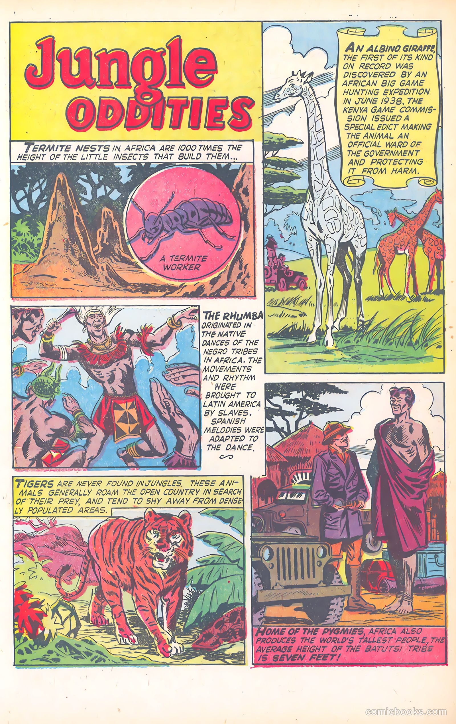 Wild Boy of the Congo #15 — page 32 of 36