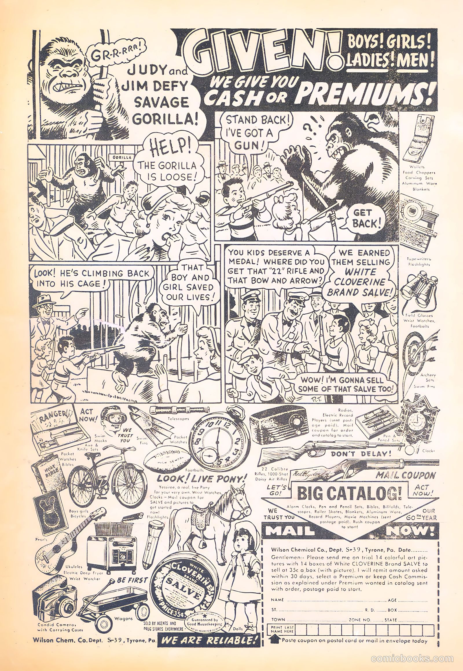 Wild Boy of the Congo #15 — page 35 of 36