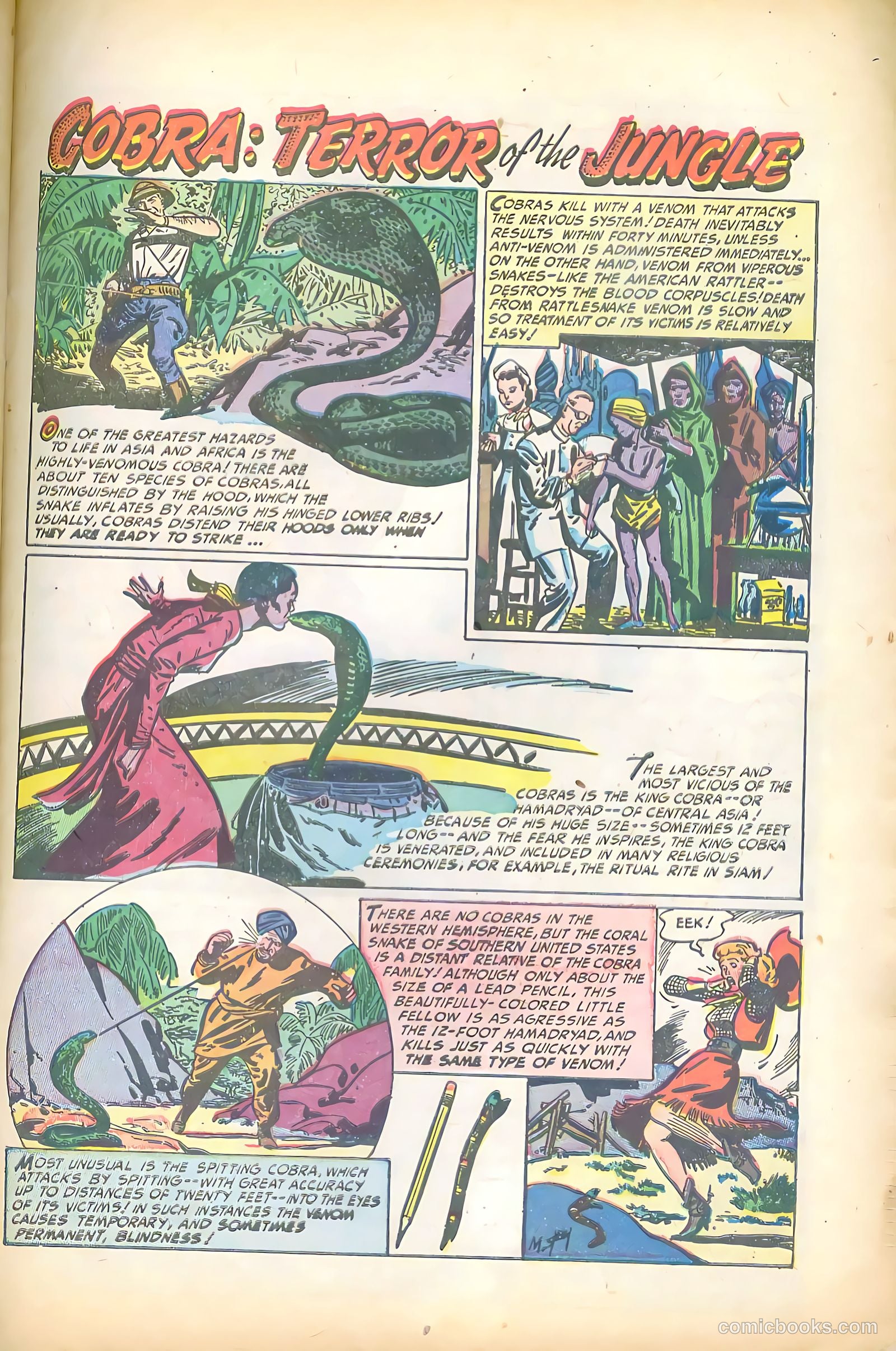 Wild Boy of the Congo #9 — page 27 of 36