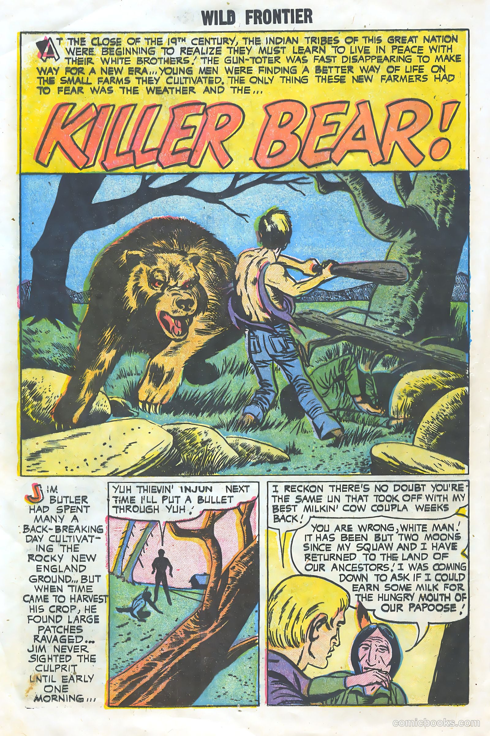 Wild Frontier #2 — page 12 of 37