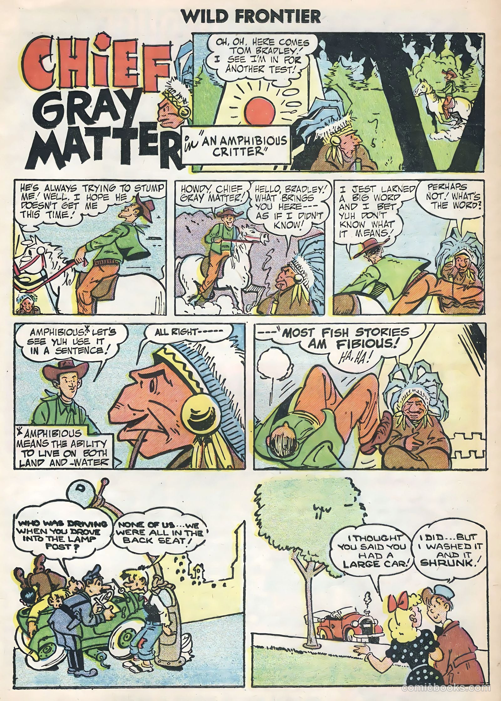 Wild Frontier #3 — page 21 of 36