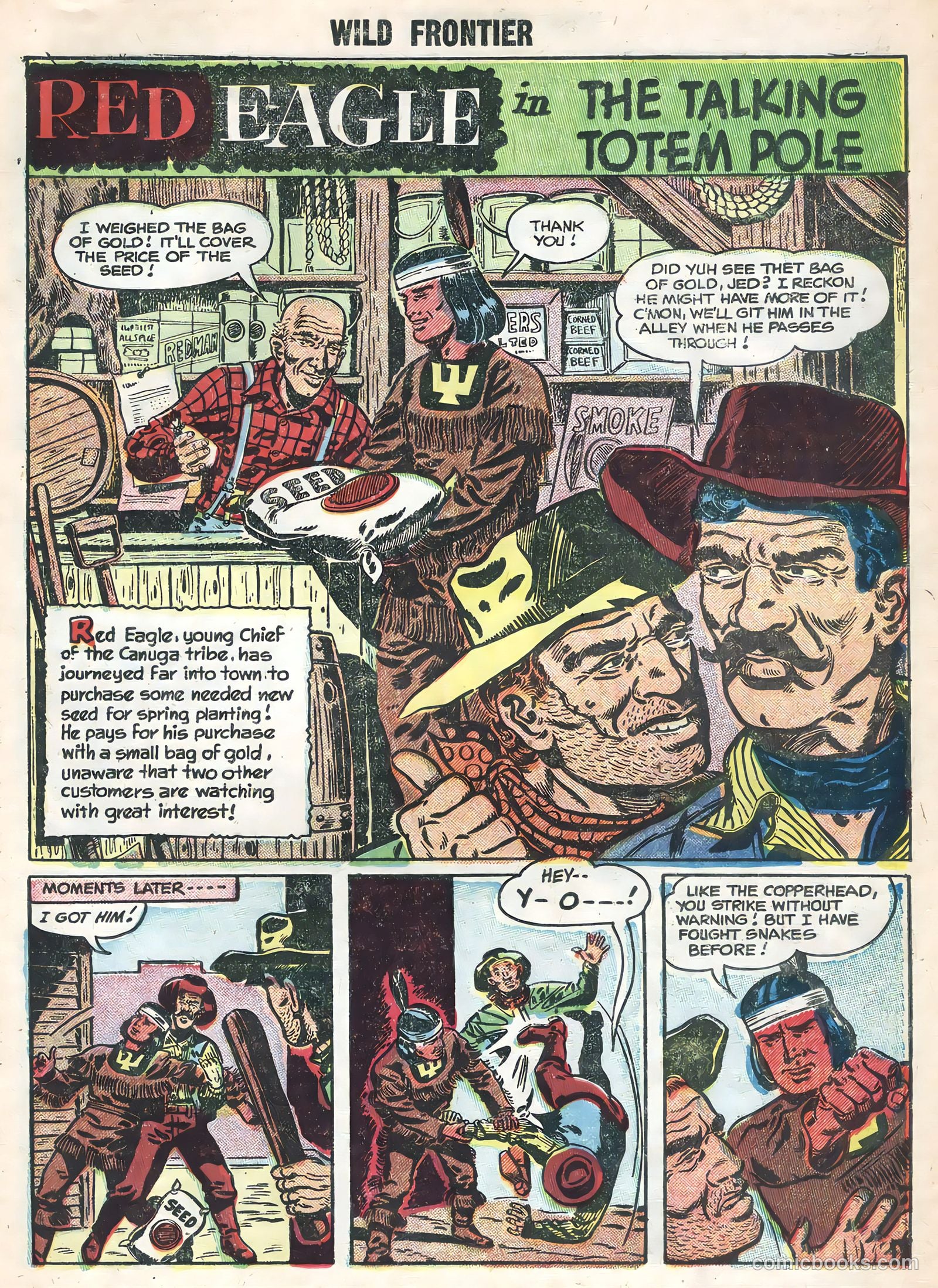Wild Frontier #3 — page 23 of 36