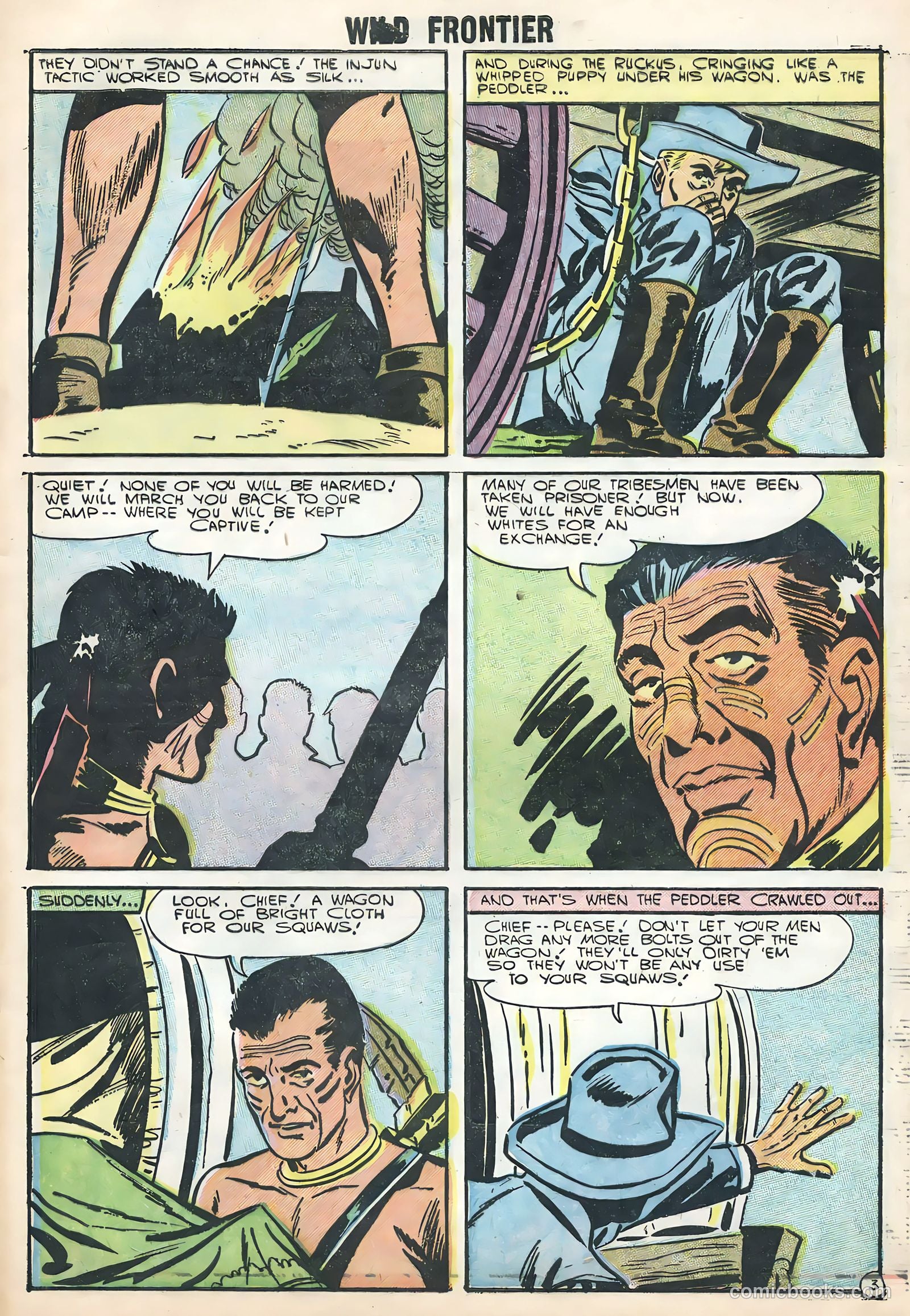 Wild Frontier #3 — page 29 of 36