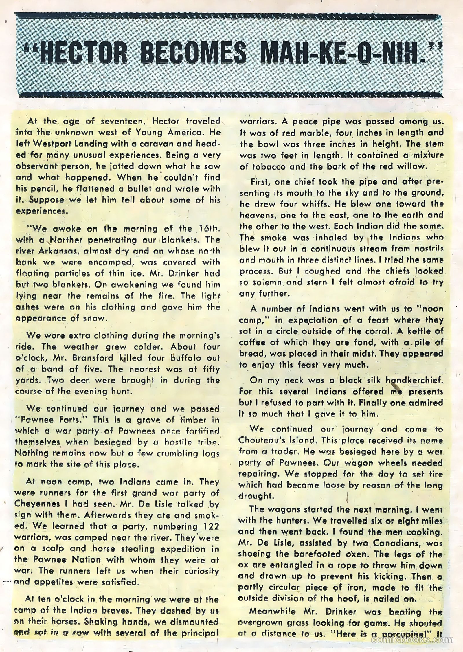 Wild Frontier #5 — page 16 of 36