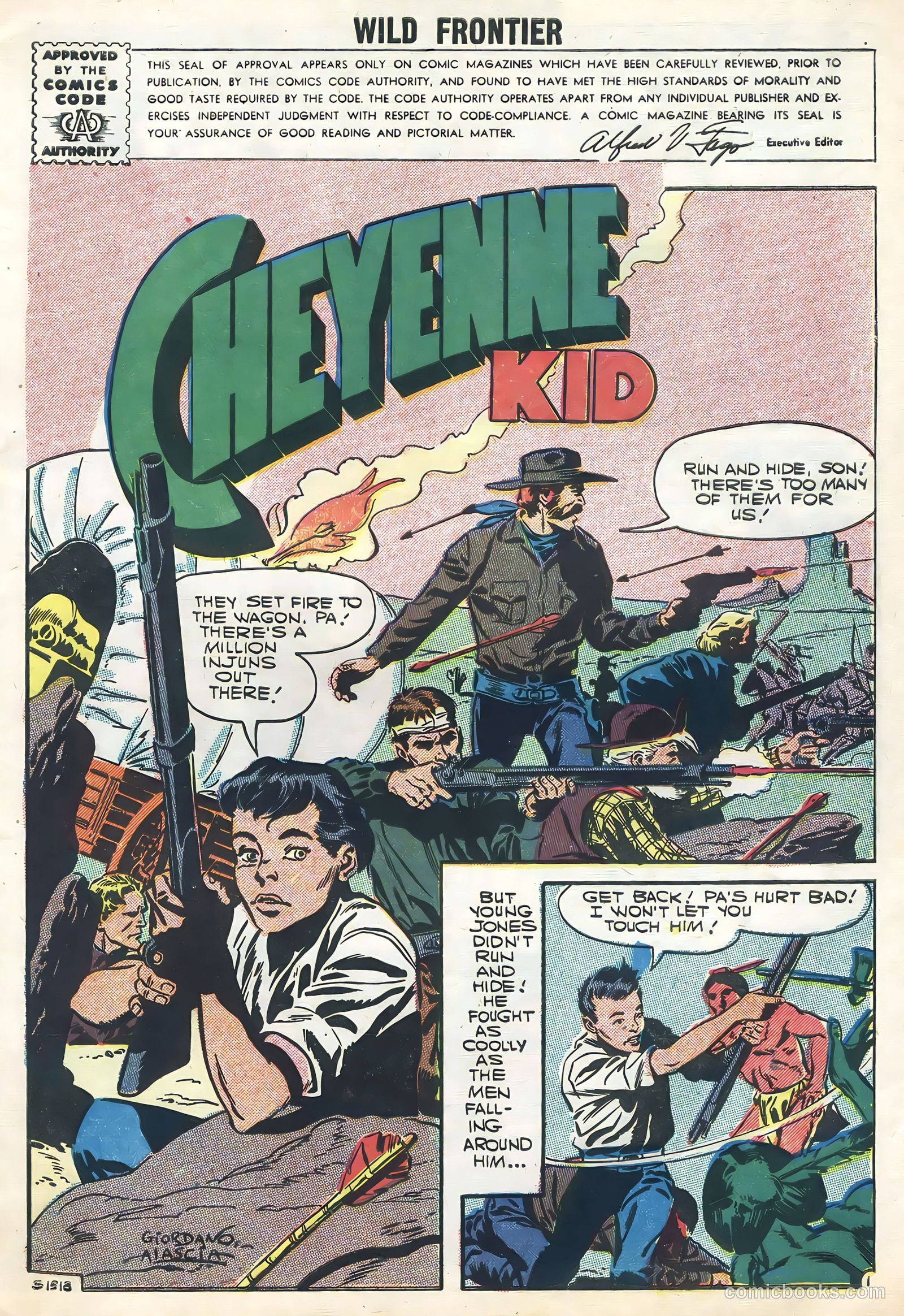 Wild Frontier #7 — page 3 of 36
