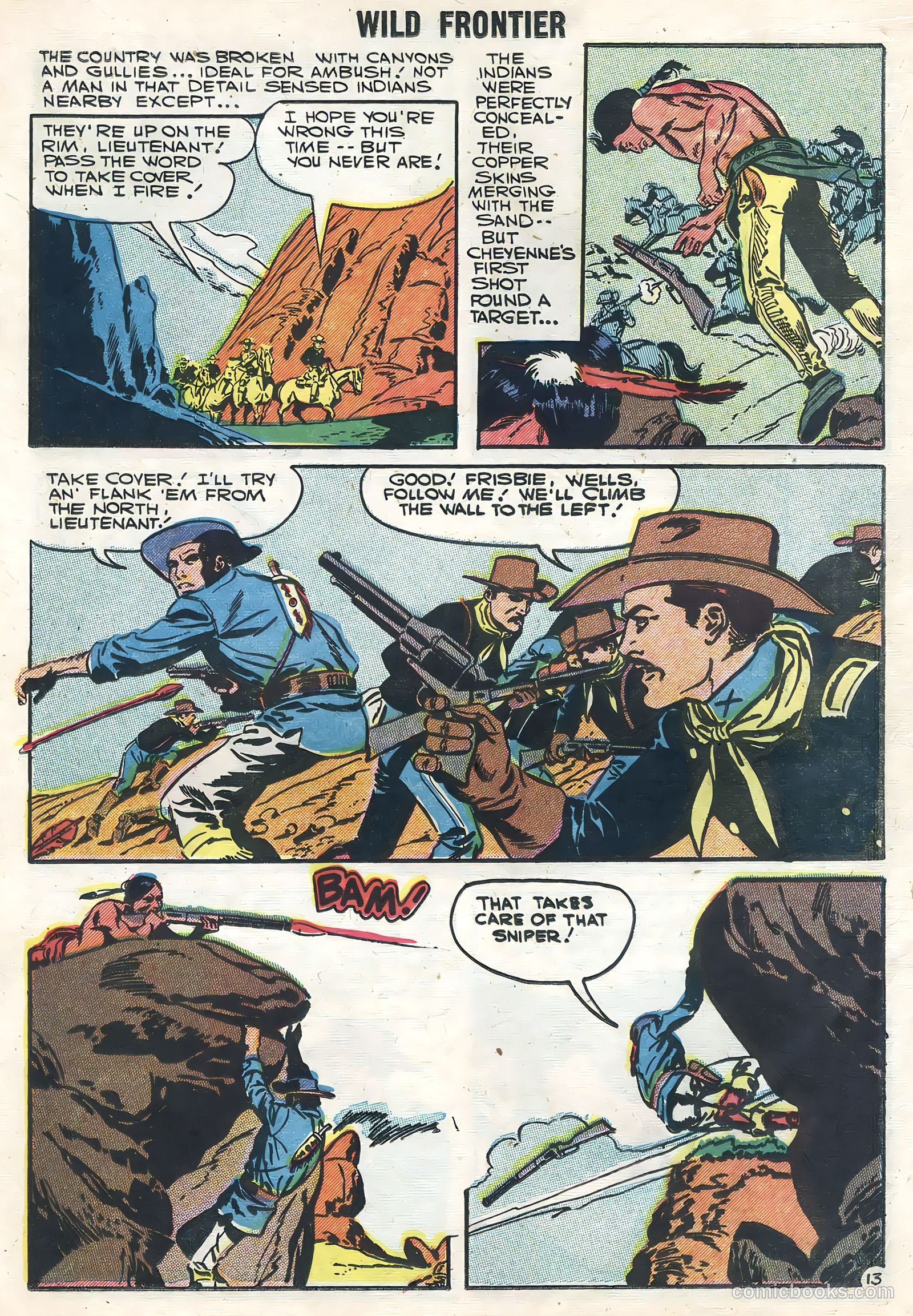 Wild Frontier #7 — page 19 of 36