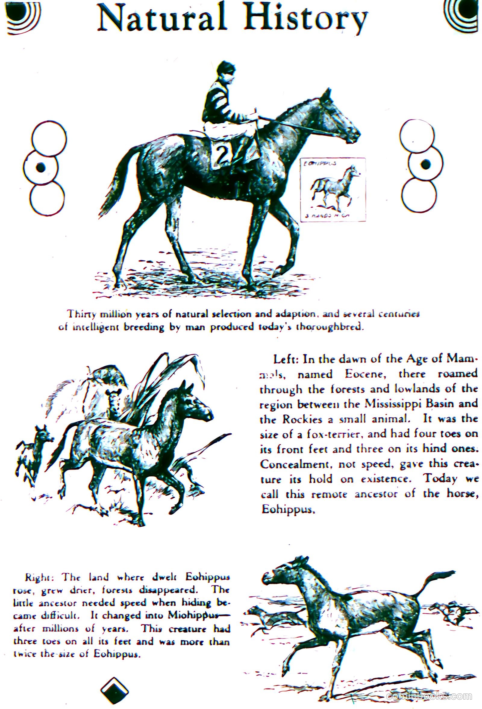 Wizard: The Comics Magazine #5 — page 26 of 67