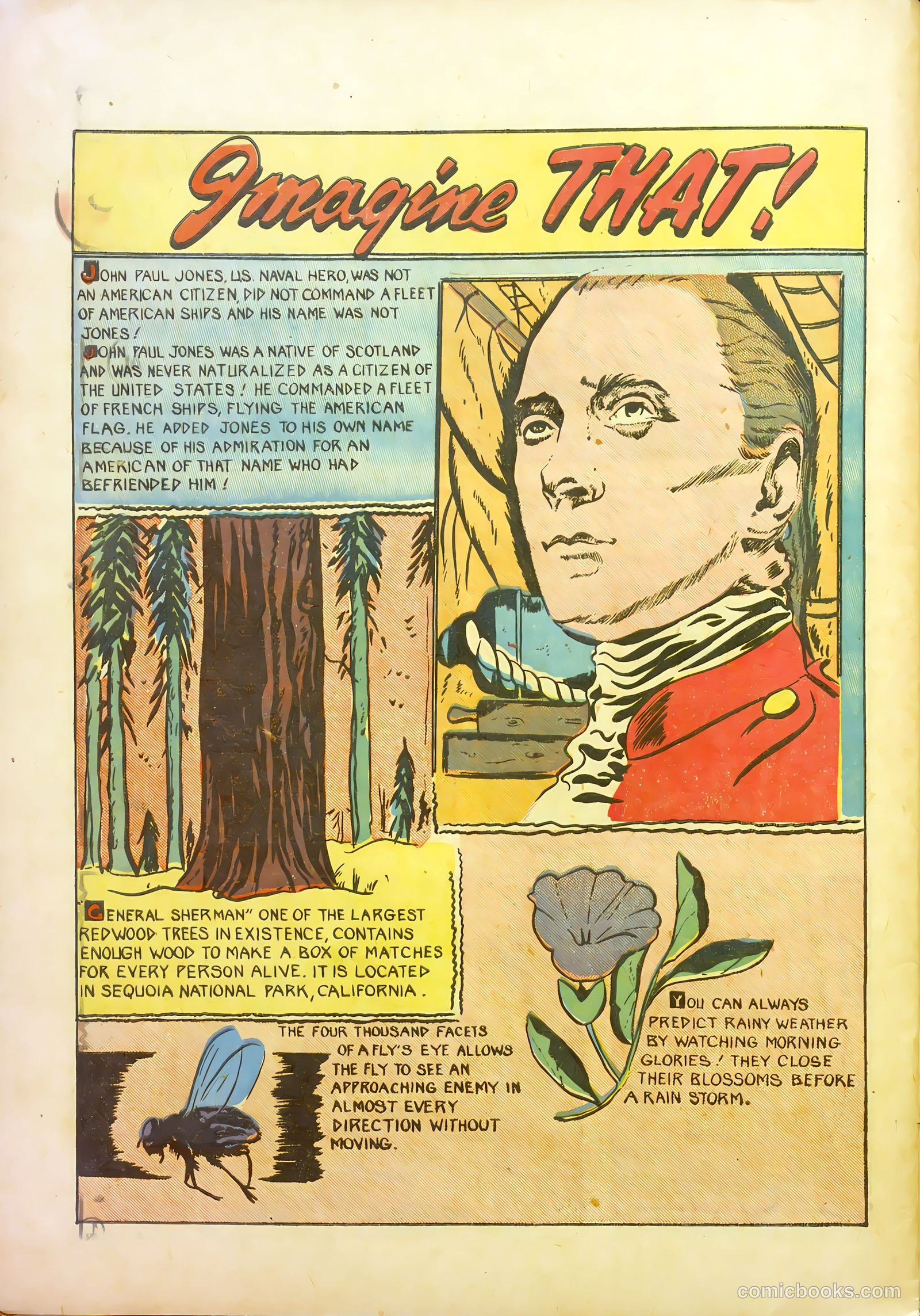 Wotalife #12 — page 28 of 36