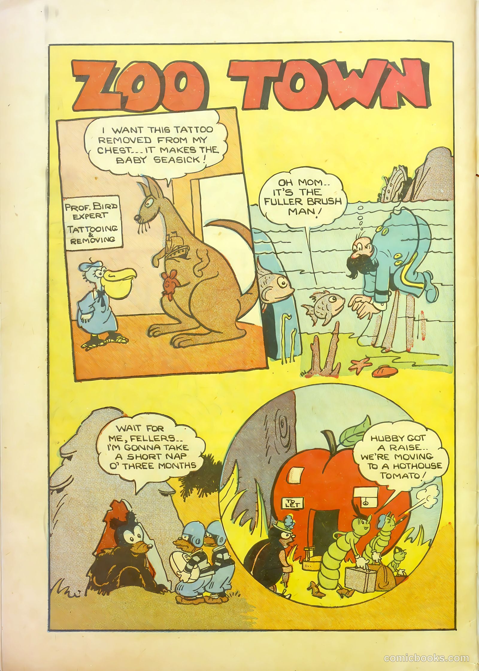 Wotalife #12 — page 34 of 36