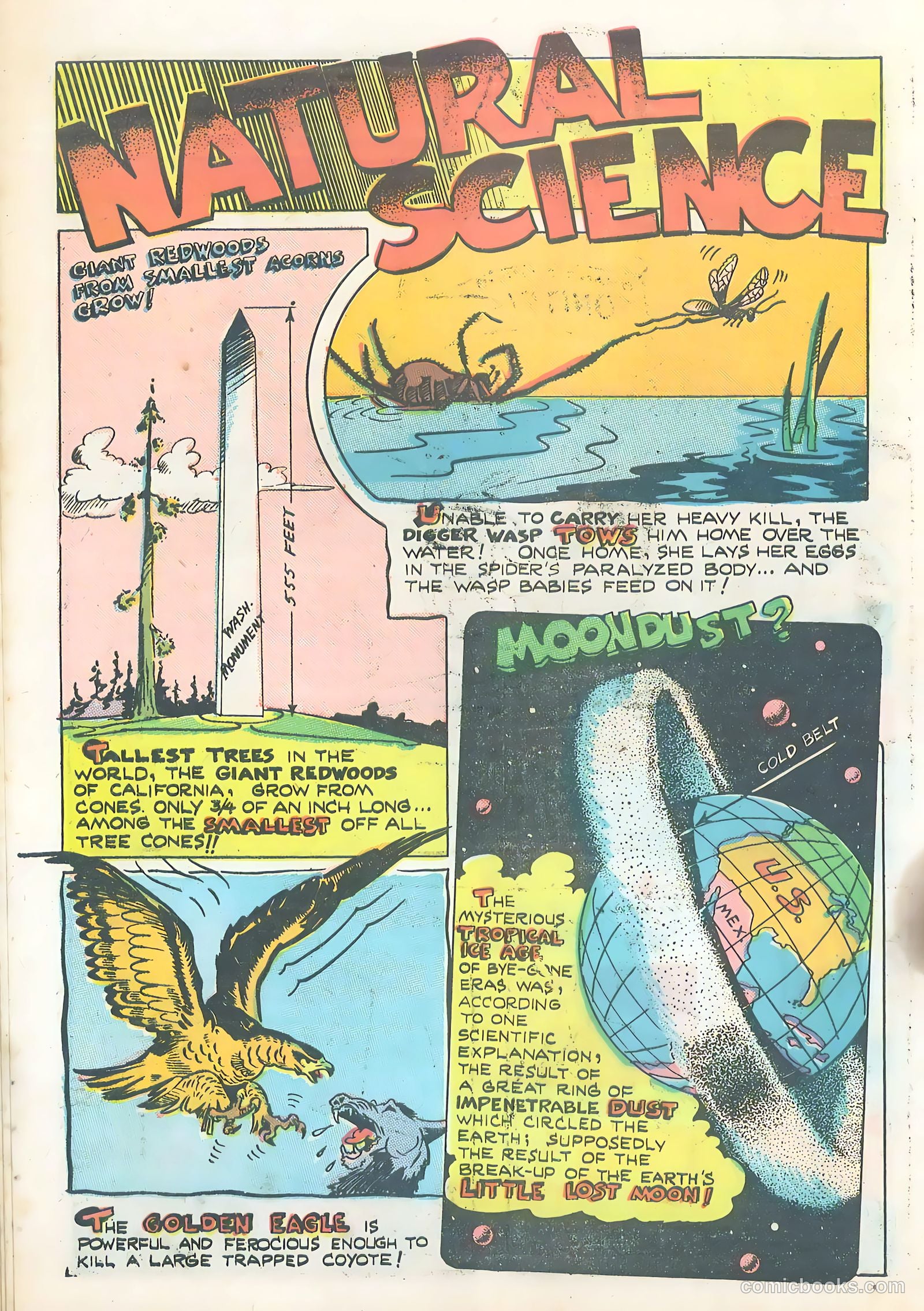 Wotalife #5 — page 20 of 53