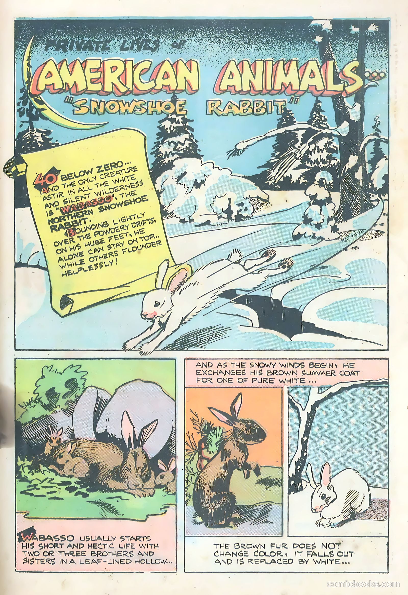 Wotalife #5 — page 29 of 53