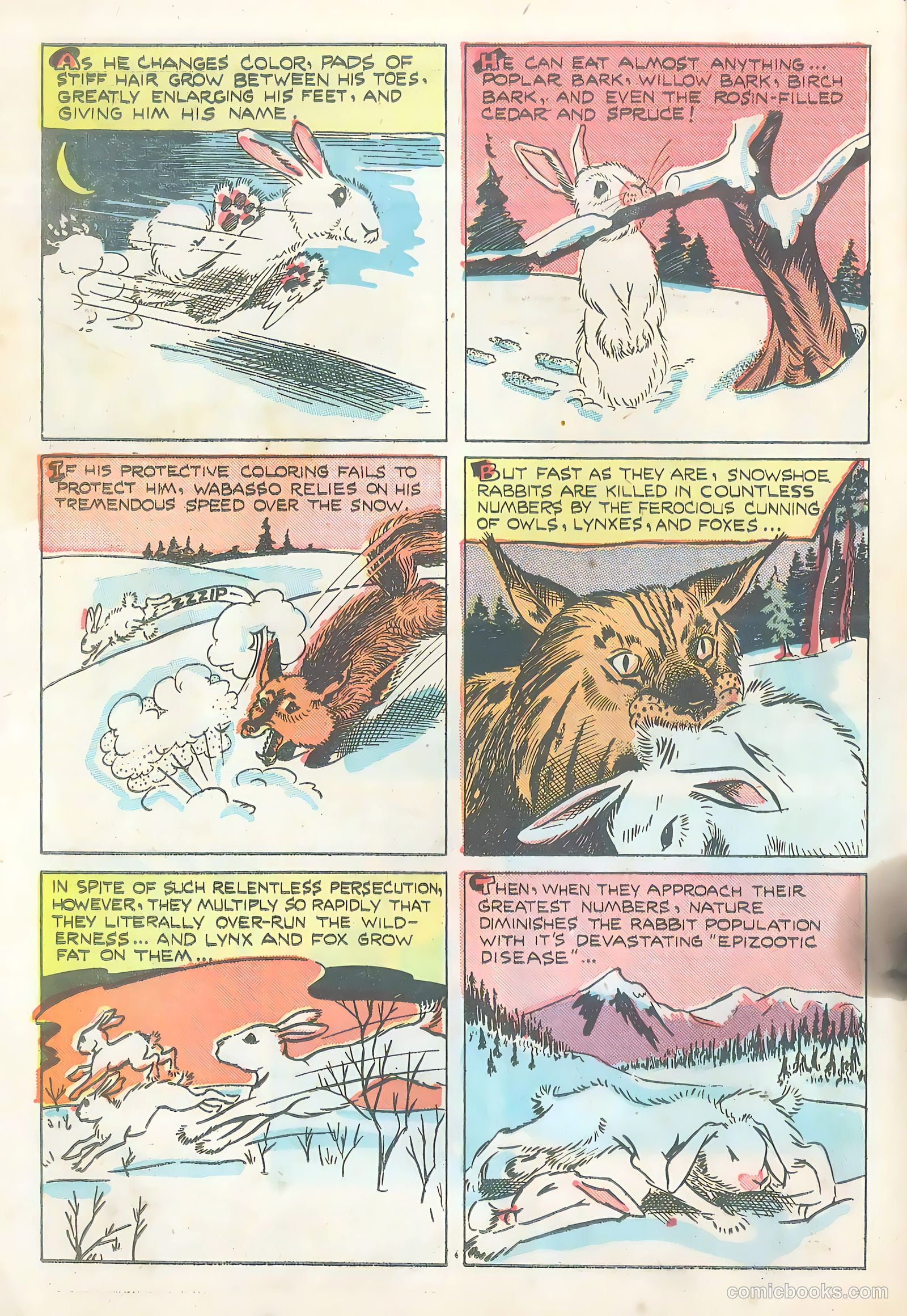 Wotalife #5 — page 30 of 53