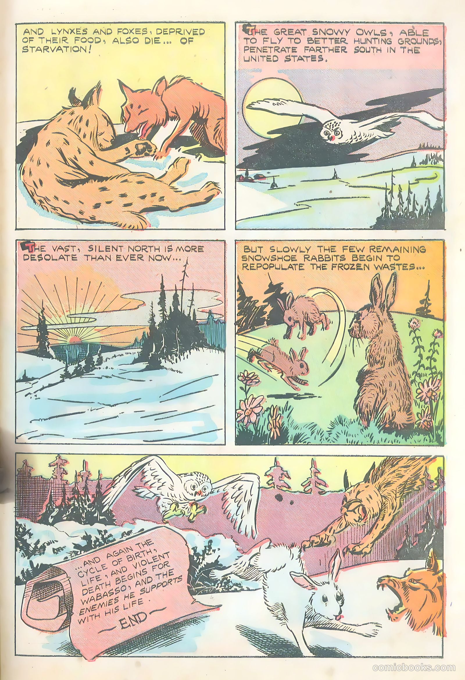 Wotalife #5 — page 31 of 53
