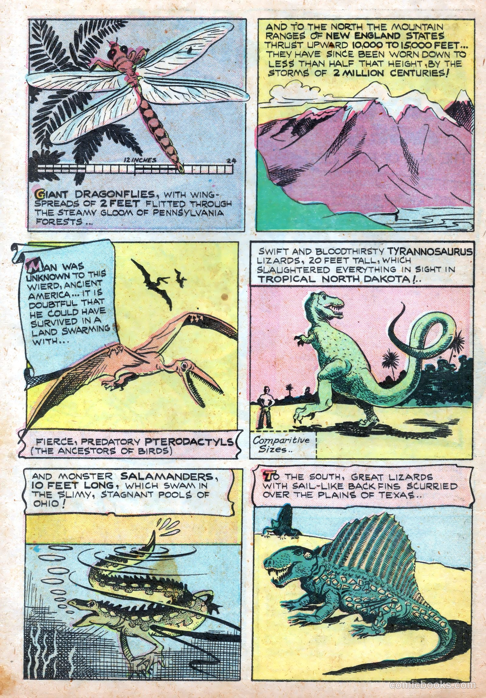 Wotalife #7 — page 24 of 36