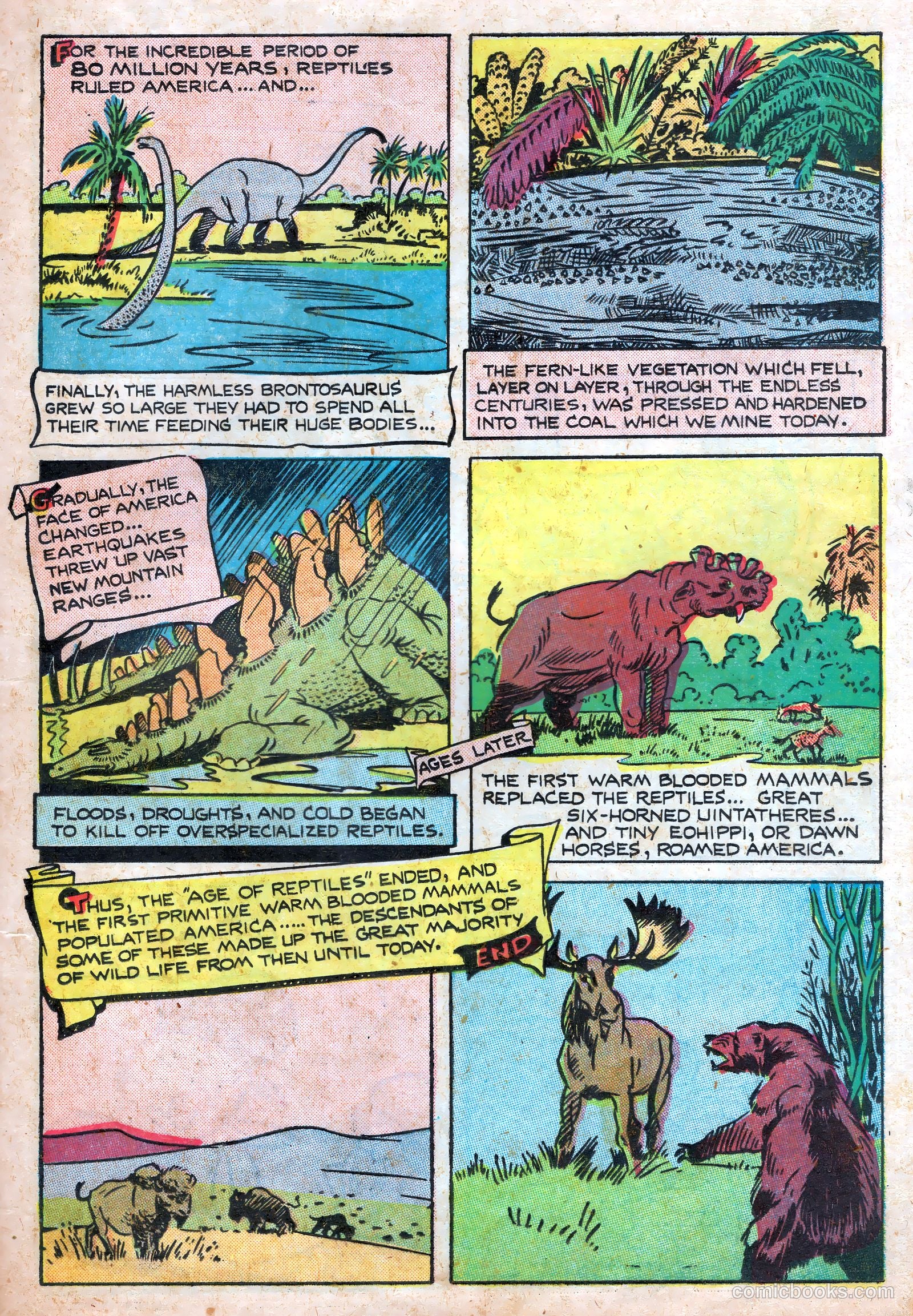 Wotalife #7 — page 25 of 36