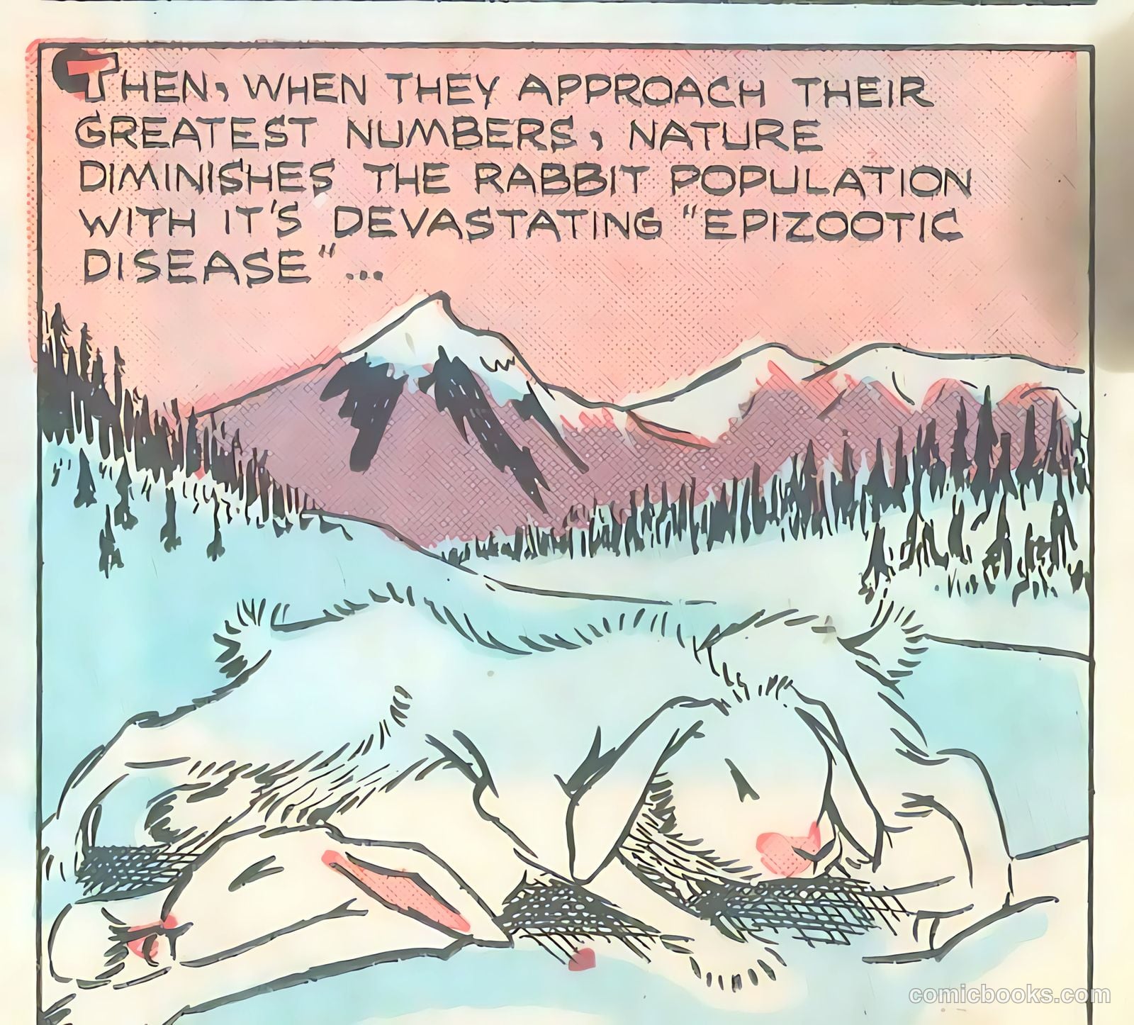 Wotalife Comics #5 — page 53 of 53