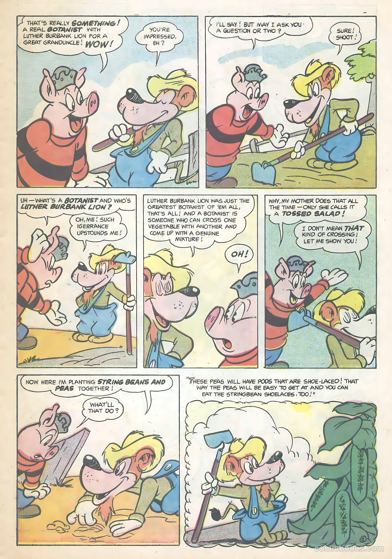 Wotalife Comics #5 — page 27 of 36