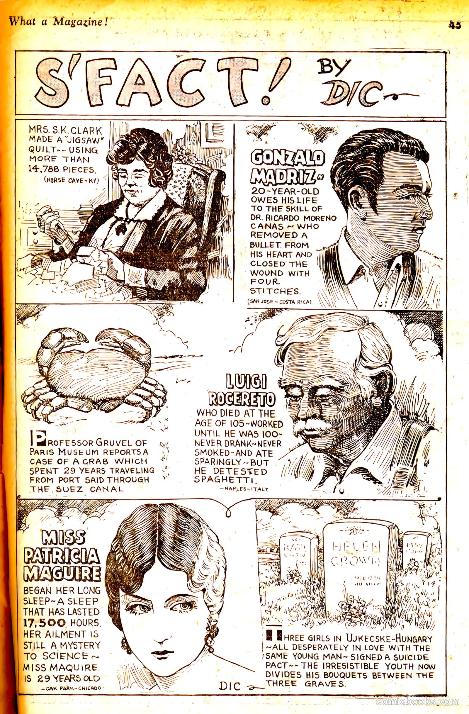 Wow — What a Magazine! #2 — page 46 of 53