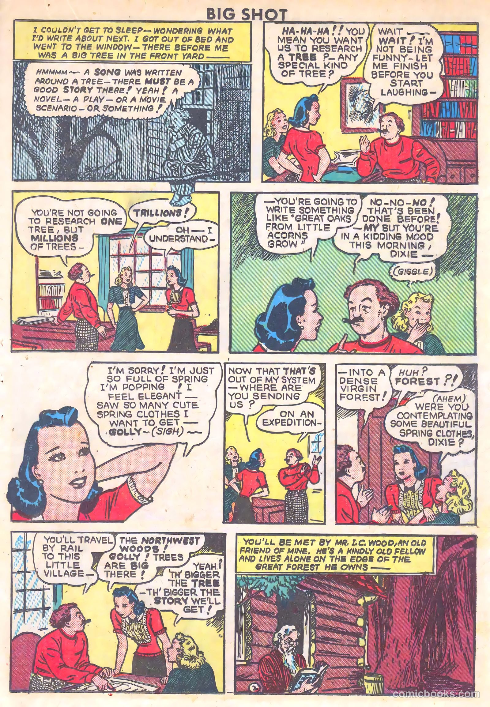 Big Shot #39 — page 31 of 60