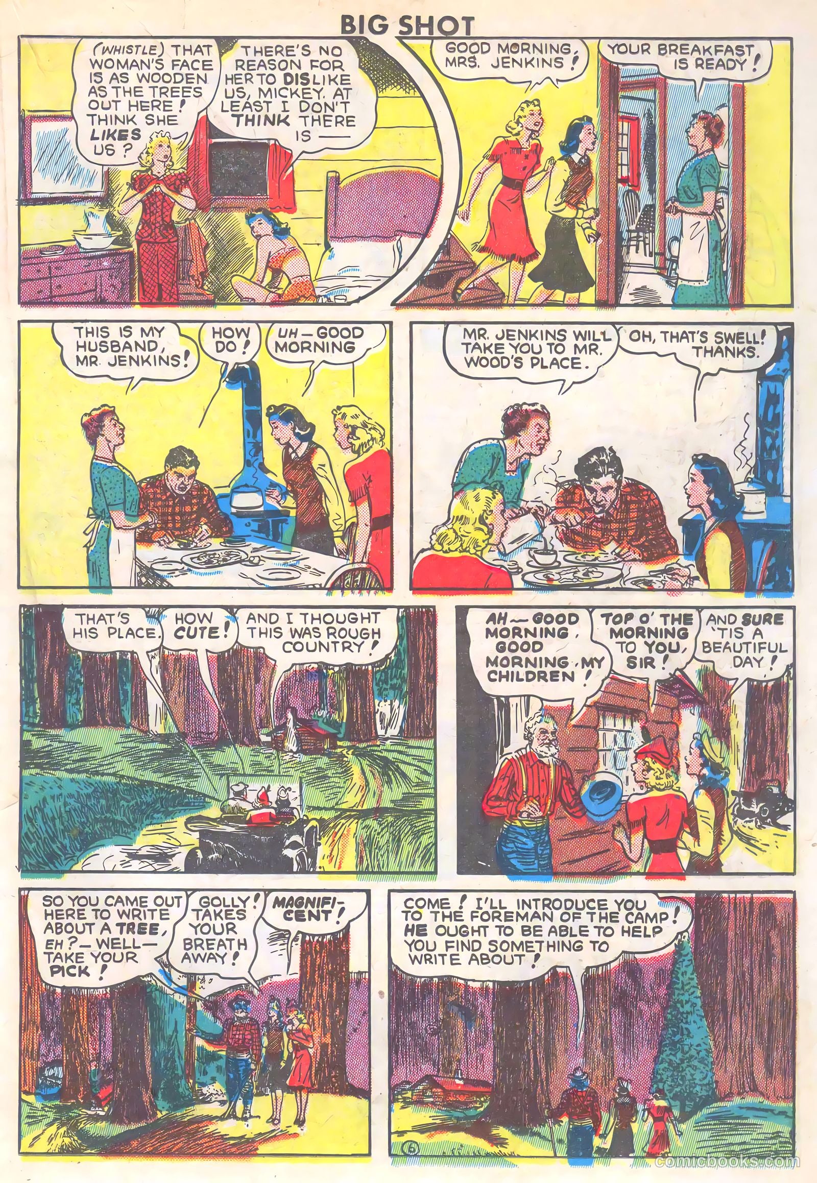 Big Shot #39 — page 35 of 60