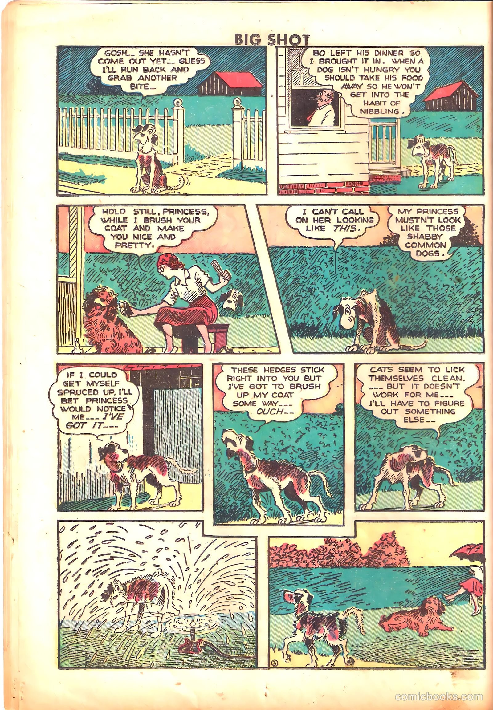 Big Shot #40 — page 22 of 60