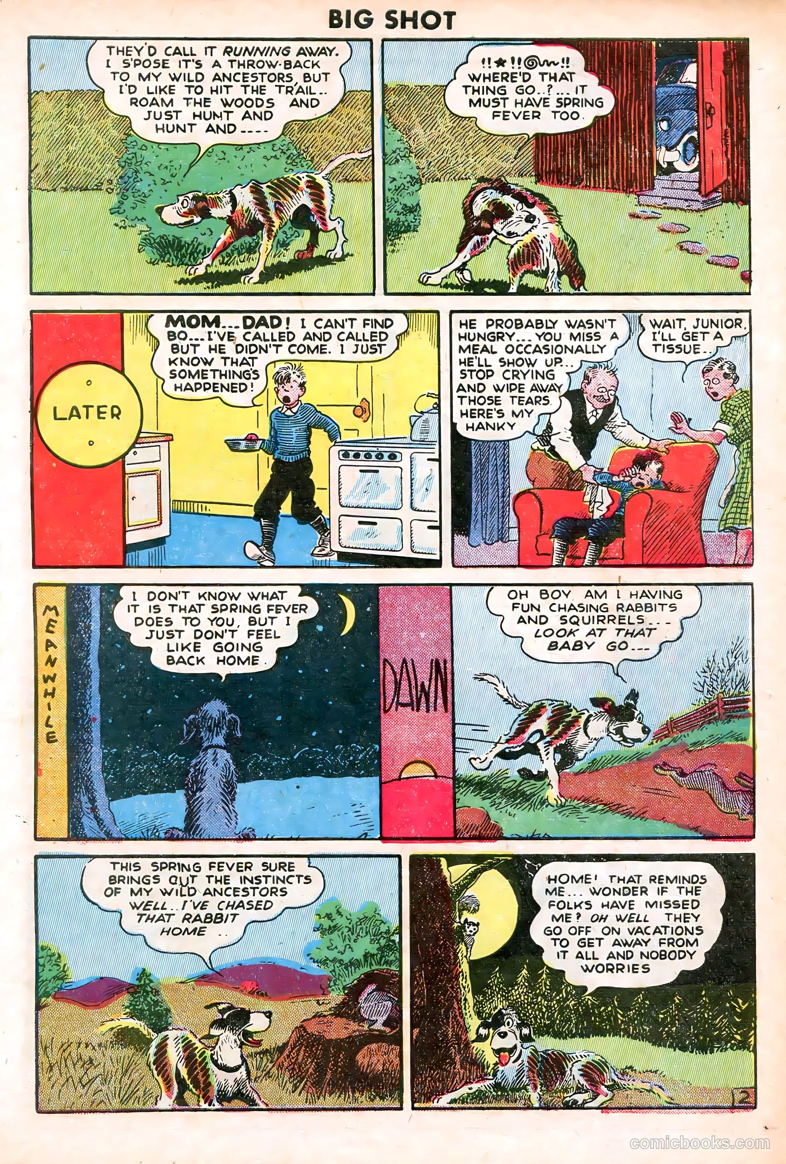 Big Shot #53 — page 41 of 52