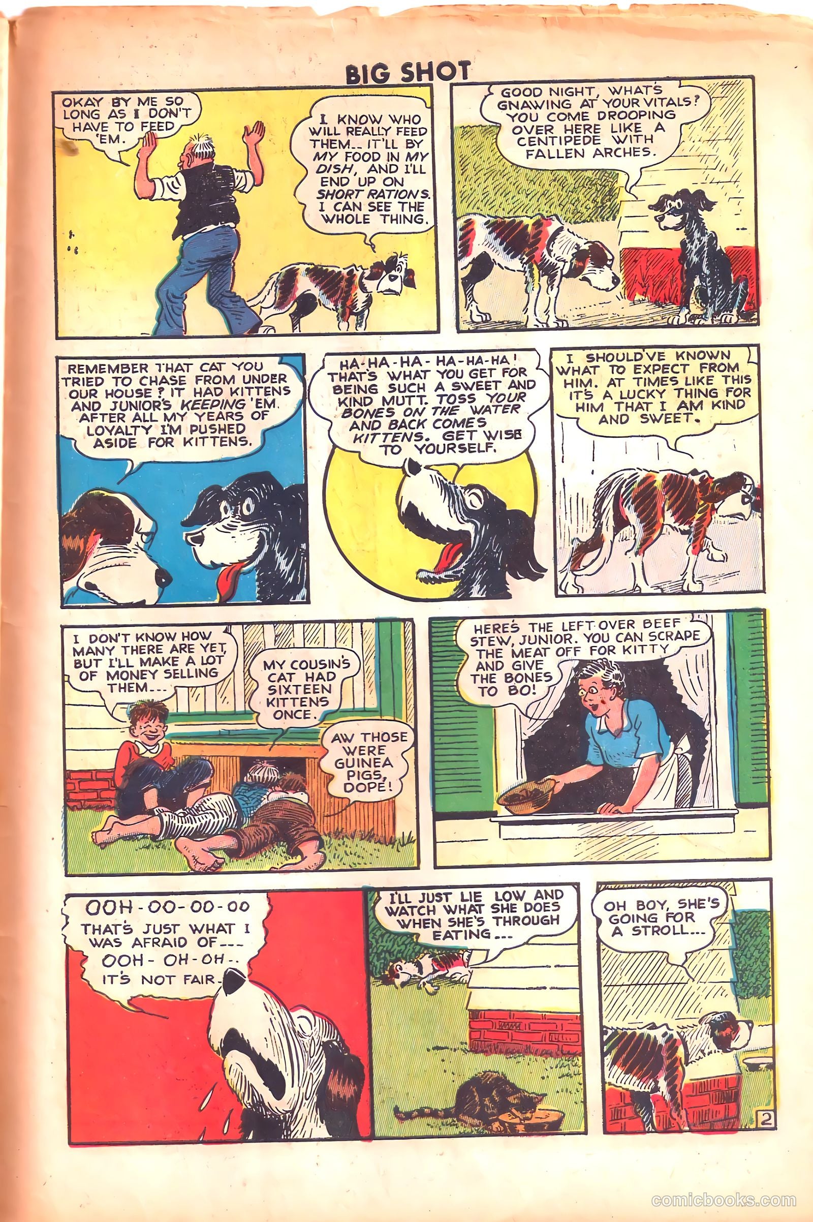 Big Shot #60 — page 41 of 52