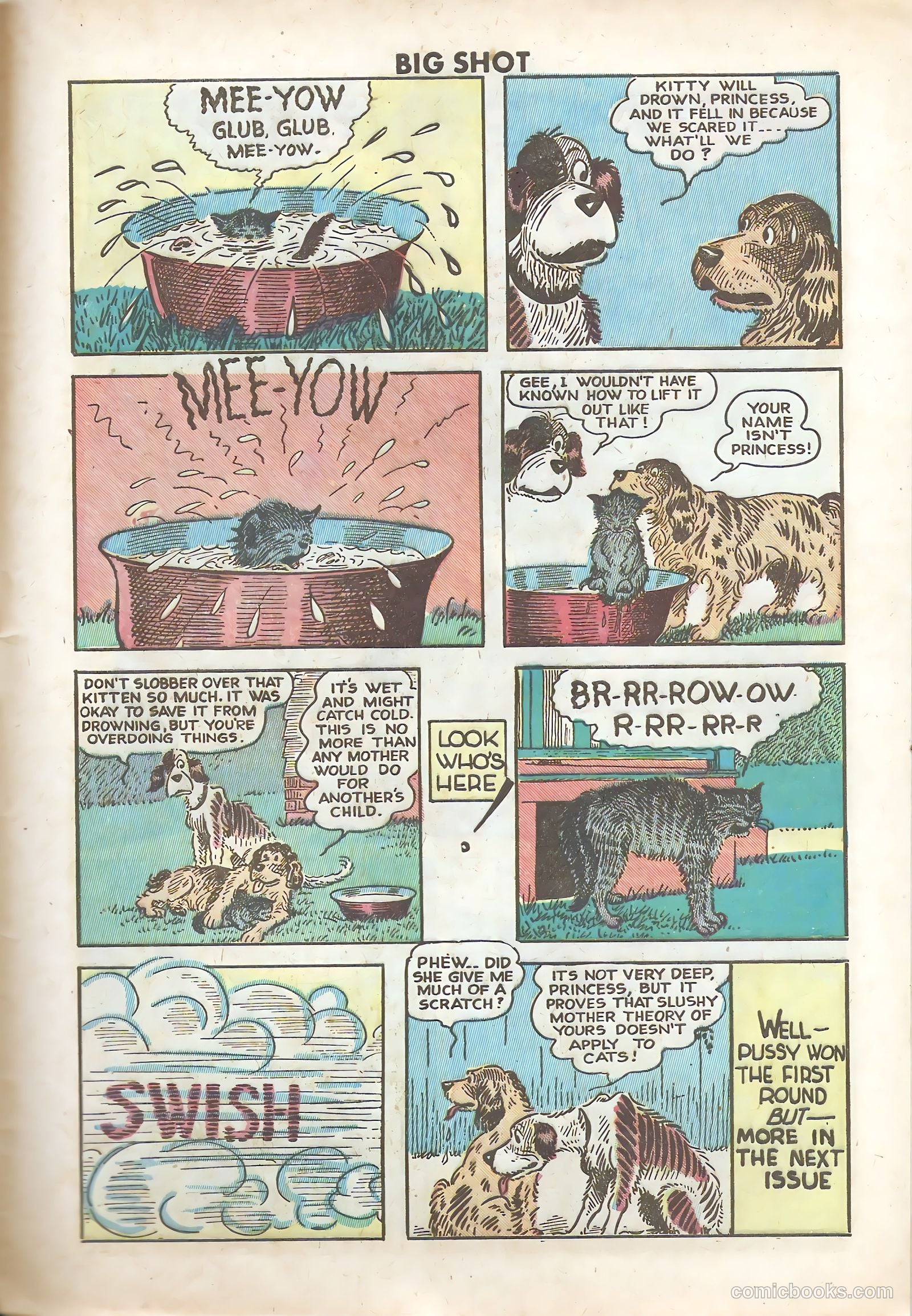 Big Shot #61 — page 43 of 52