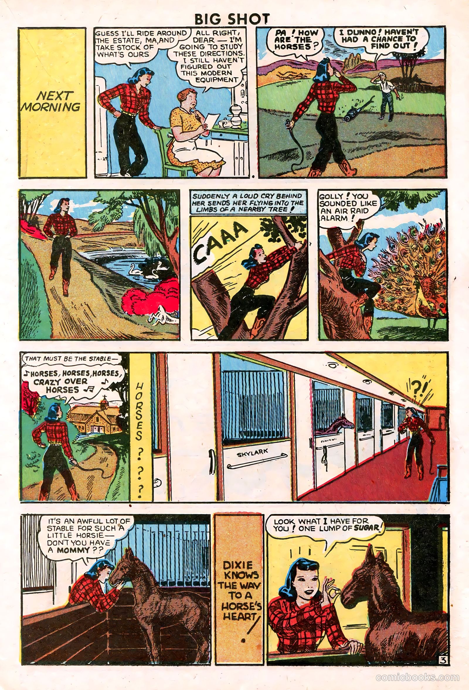 Big Shot #63 — page 23 of 52