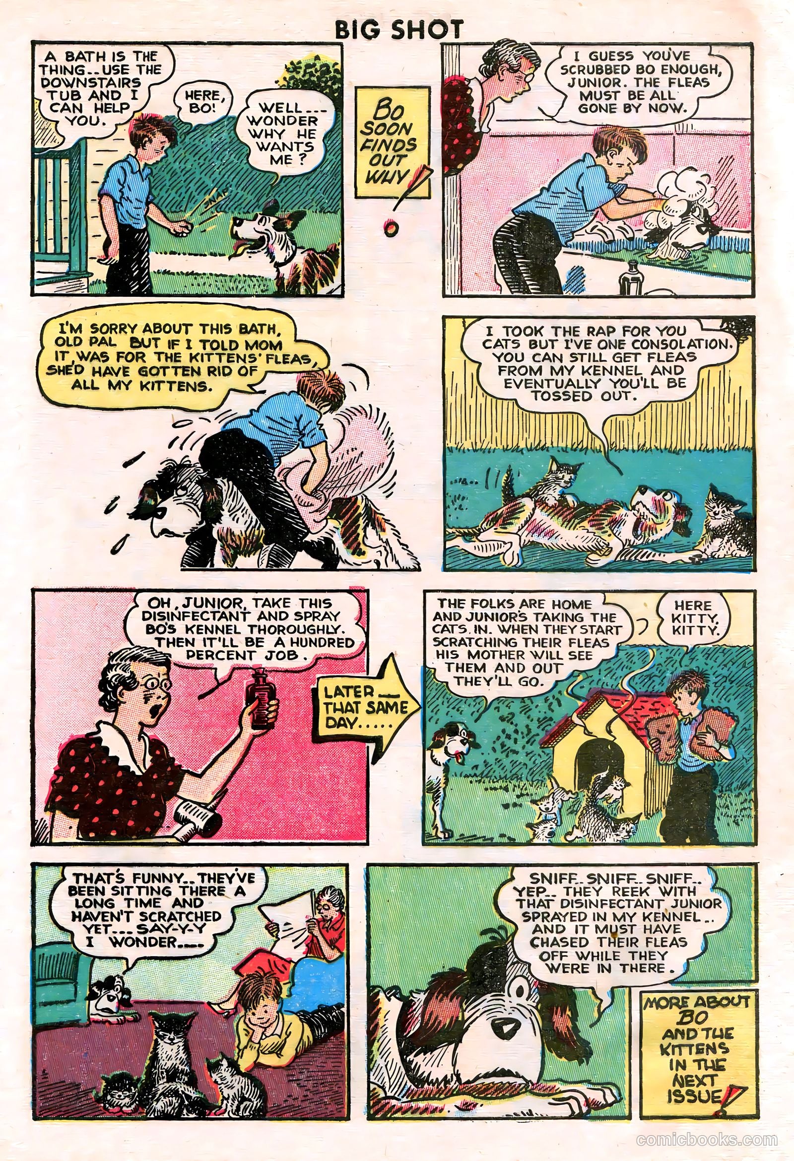 Big Shot #63 — page 43 of 52