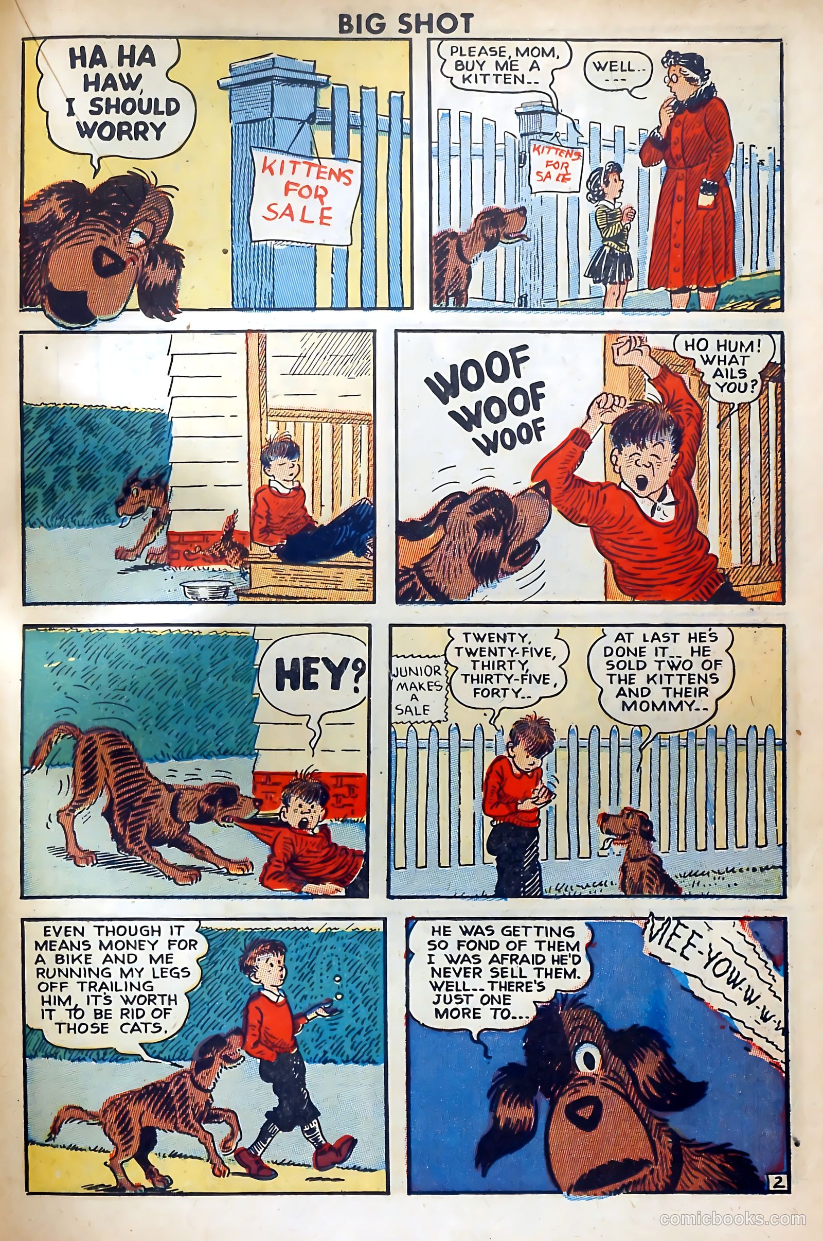 Big Shot #64 — page 23 of 52
