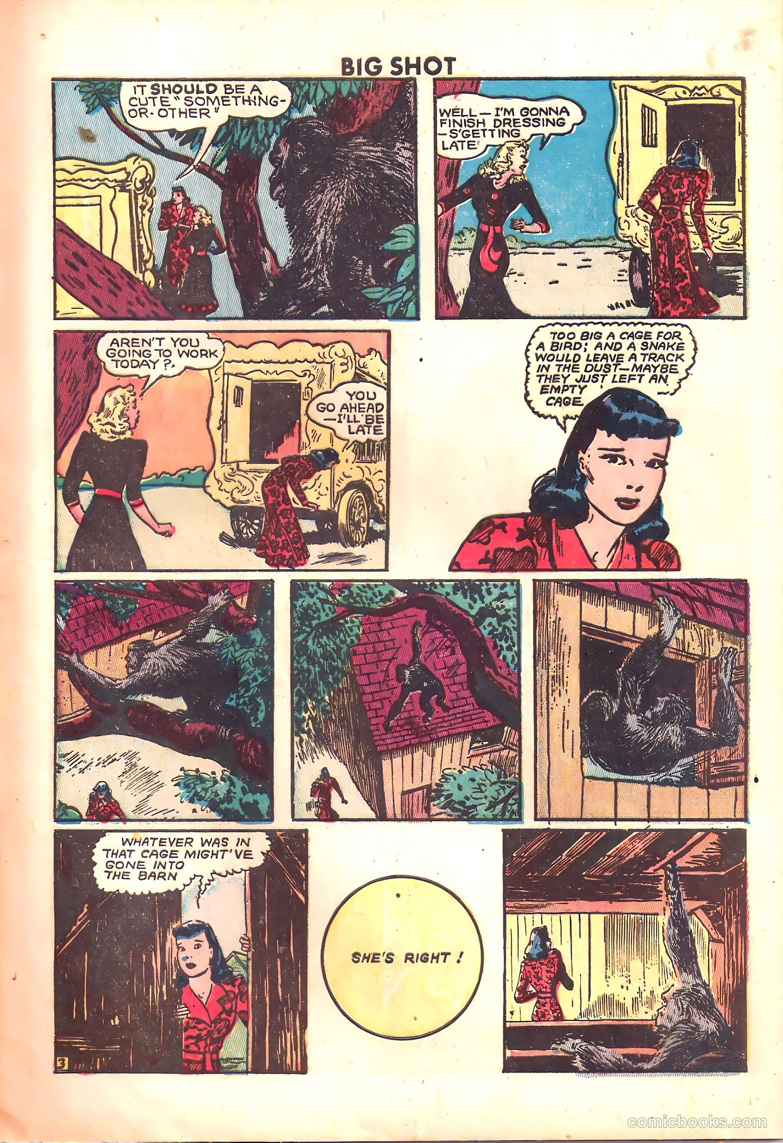 Big Shot #82 — page 11 of 52
