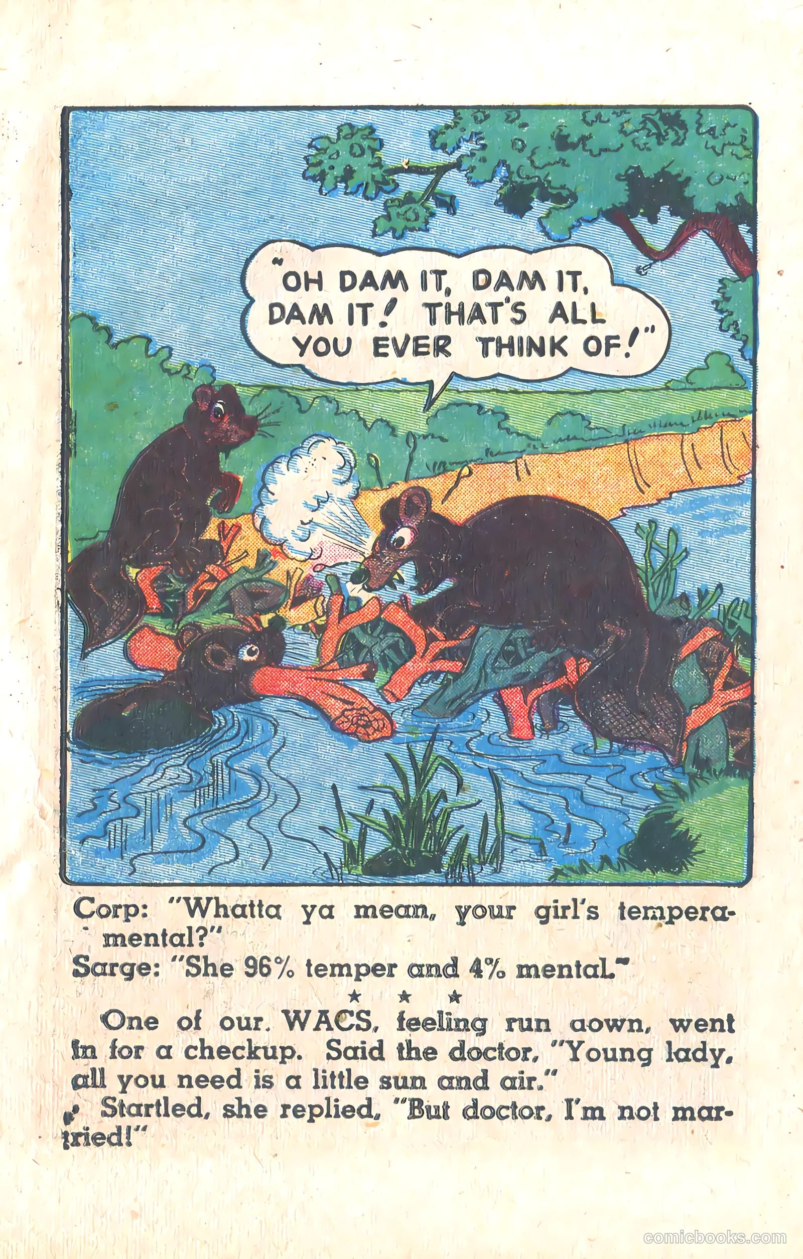Yankee Comics #5 — page 19 of 69